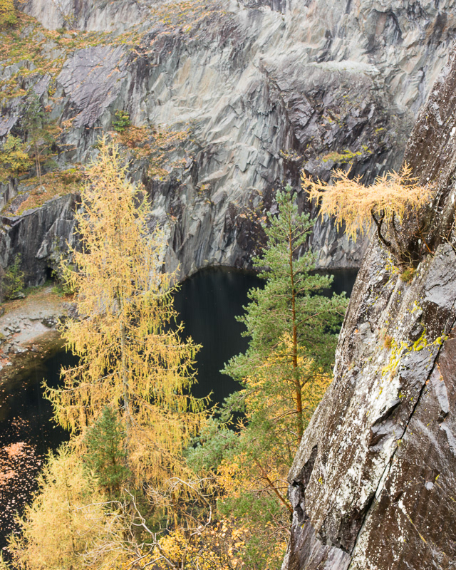 Grey slate cliffs and autumnal coloured trees rising skywards from a flood pit of Hodge Close quarry in the Lake District.
