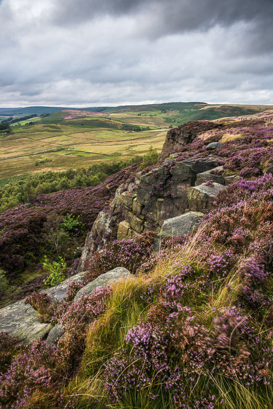 Stormy clouds passing above the purple heather on Millstone Edge in the Peak District.