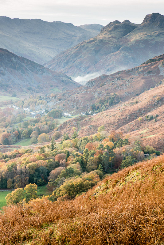 Autumn colours in the Great Langdale valley viewed from Loughrigg Fell in the Lake District. 