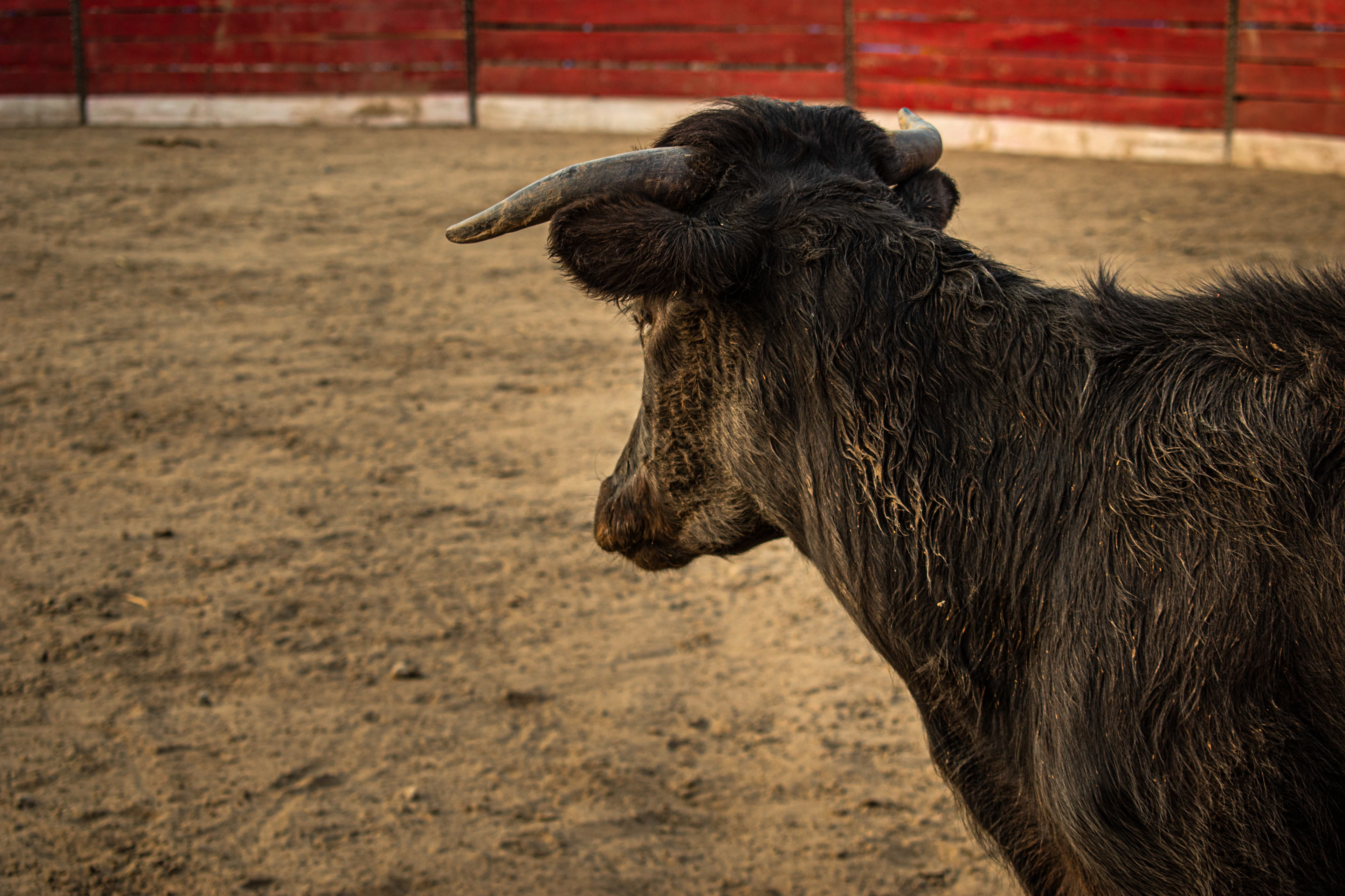 Chiclayo, Peru - 2019