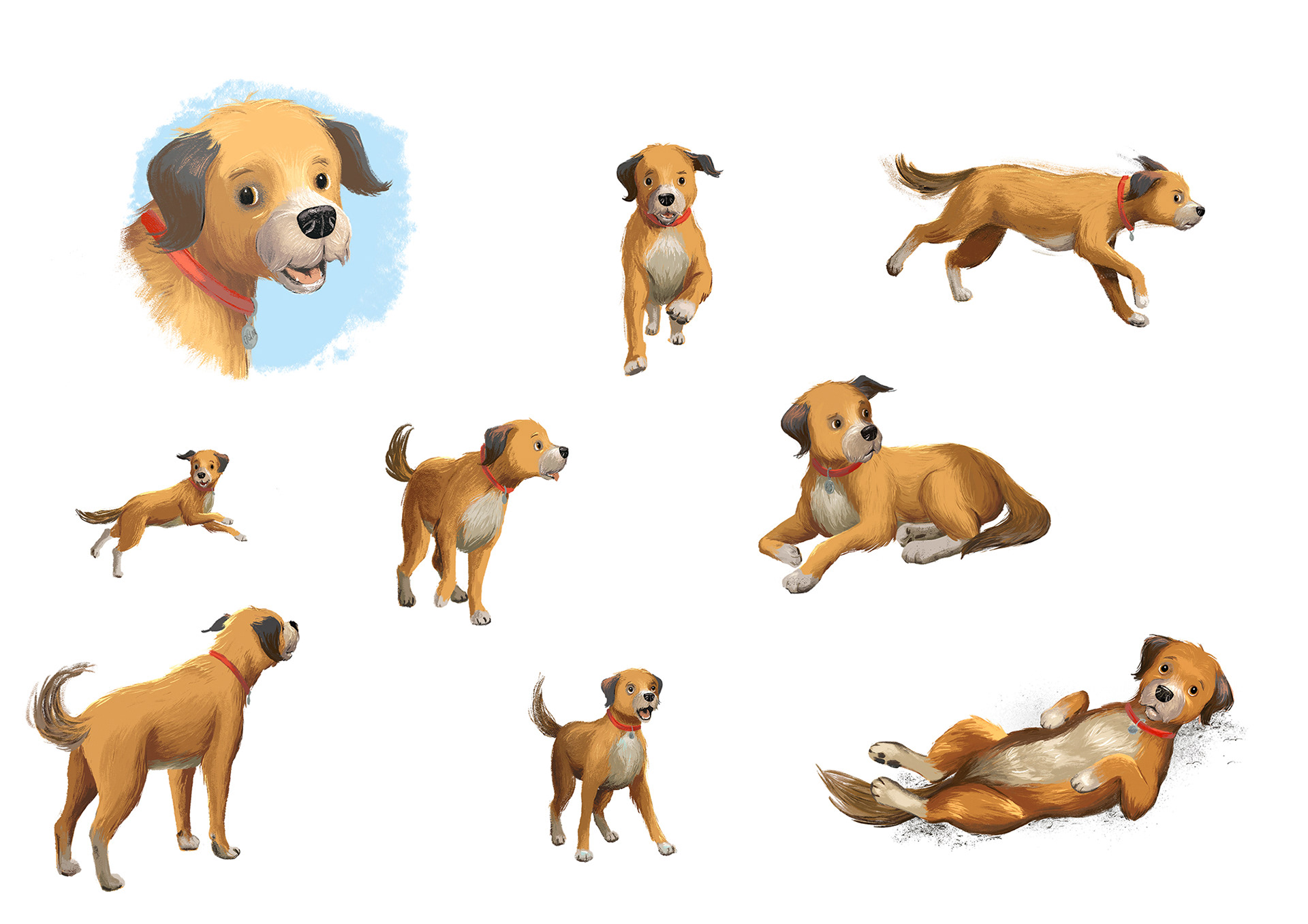 Oscar – ein Hund findet ein Zuhause | © Edel Kids