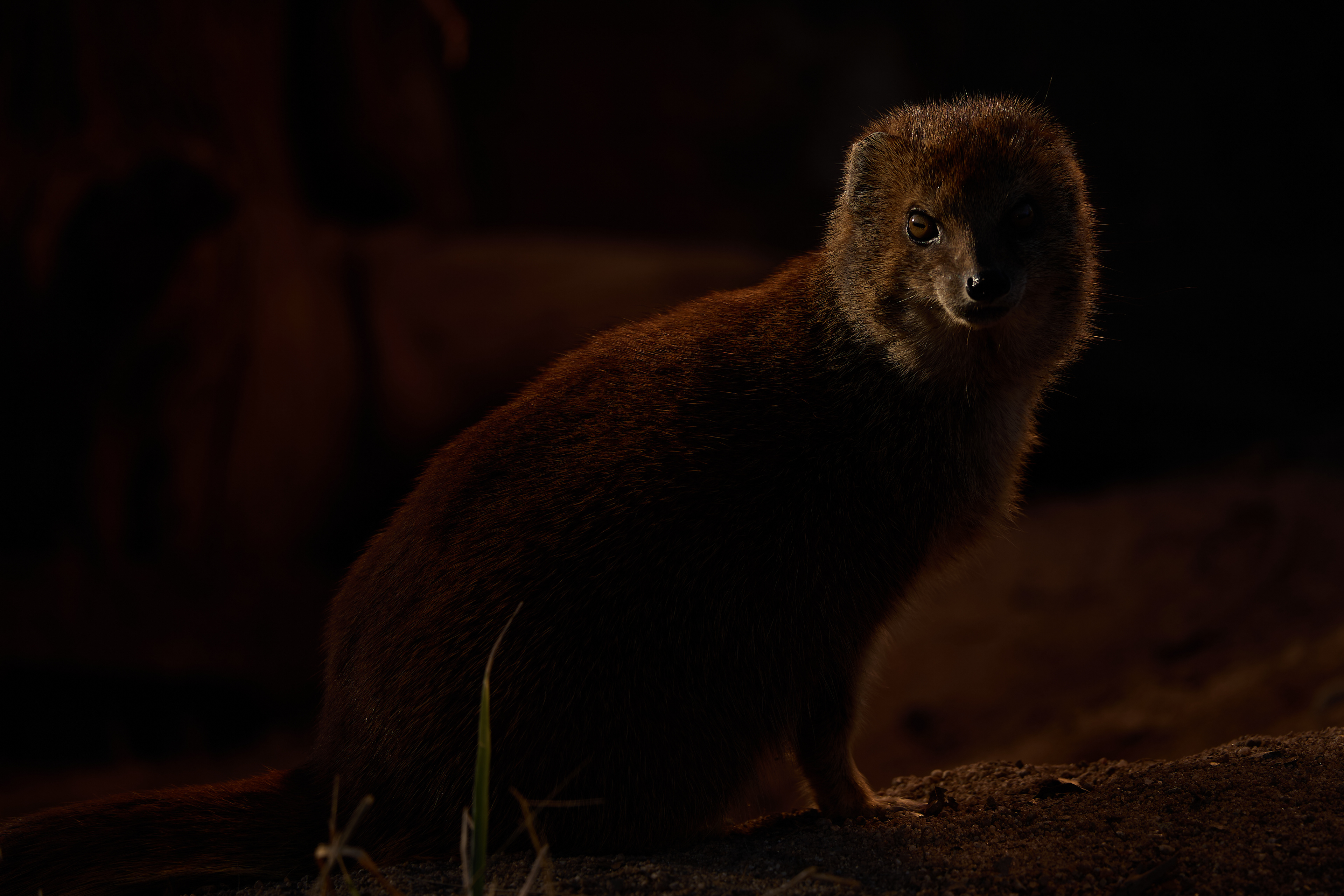 Infrarot (by Franziska Fischer)