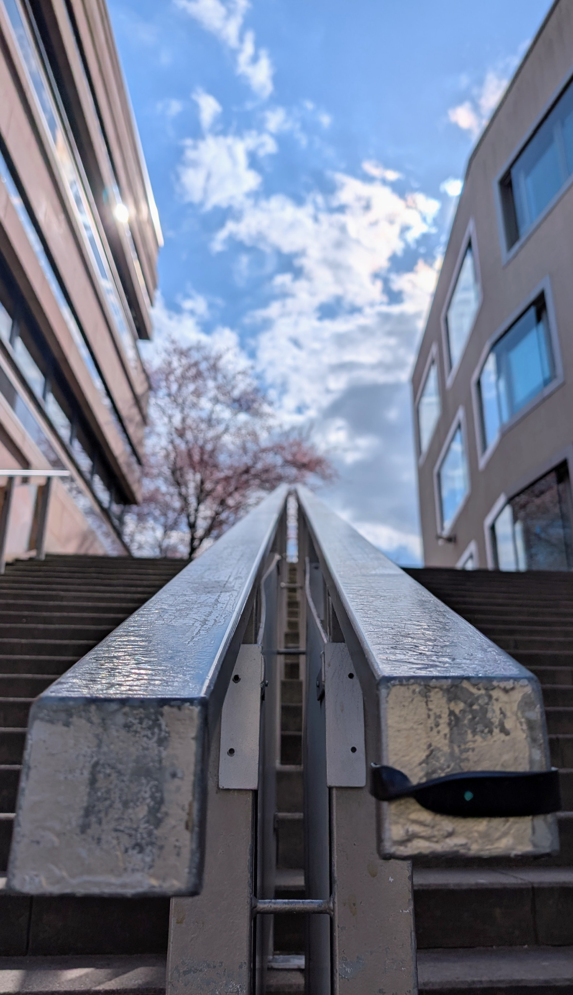 Himmelwärts (by Franziska Fischer)