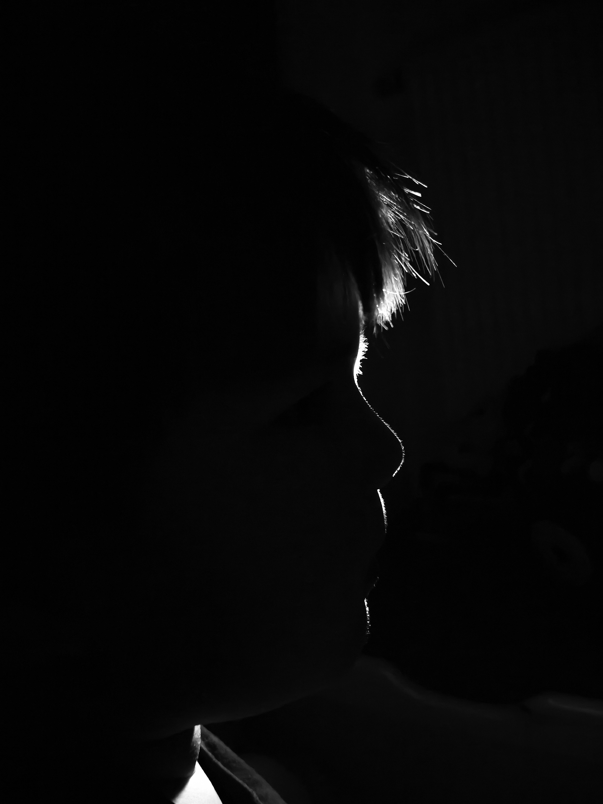 Adorable Human (by Sylvie Kainbacher)