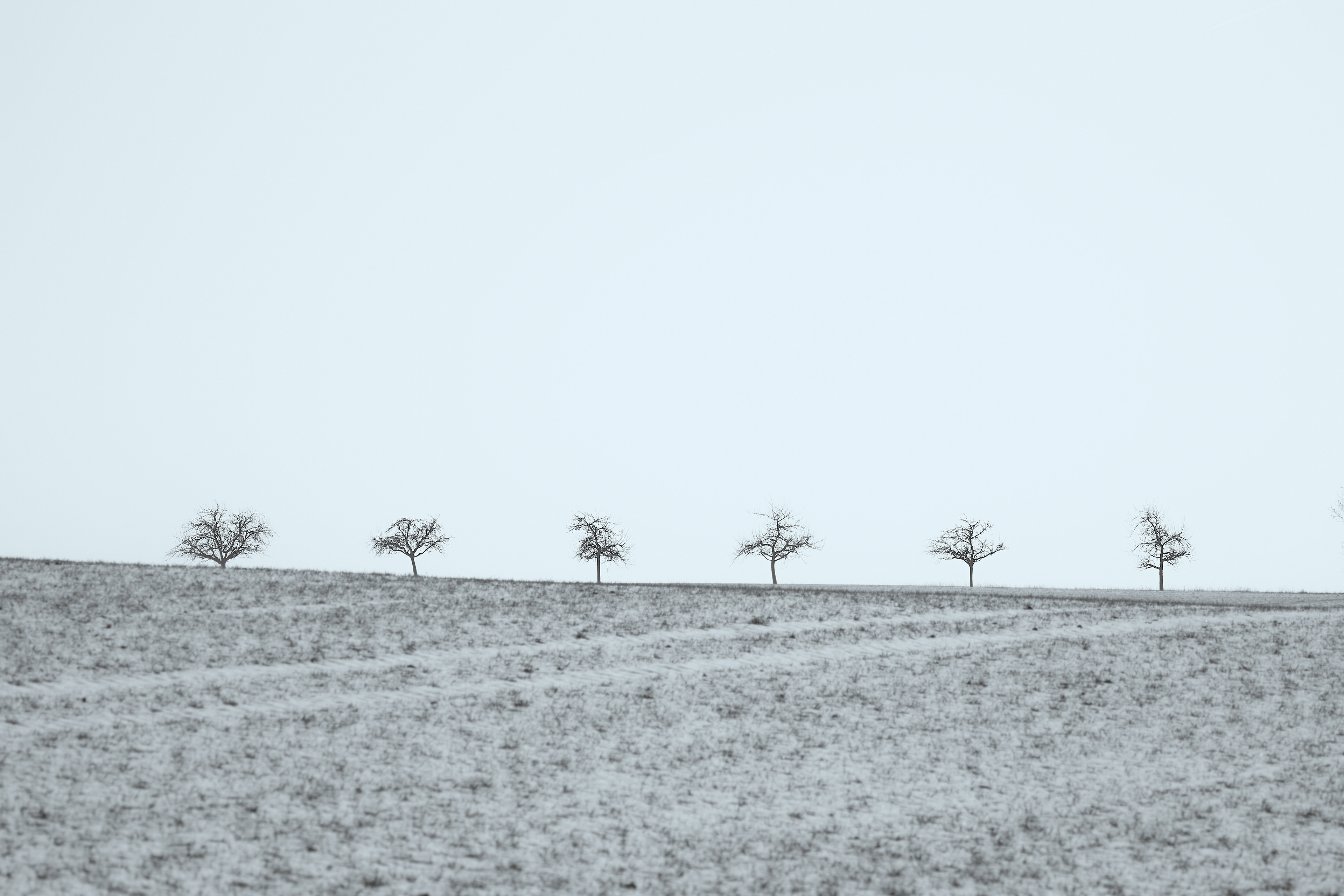 Winterfeld (by Franziska Fischer)