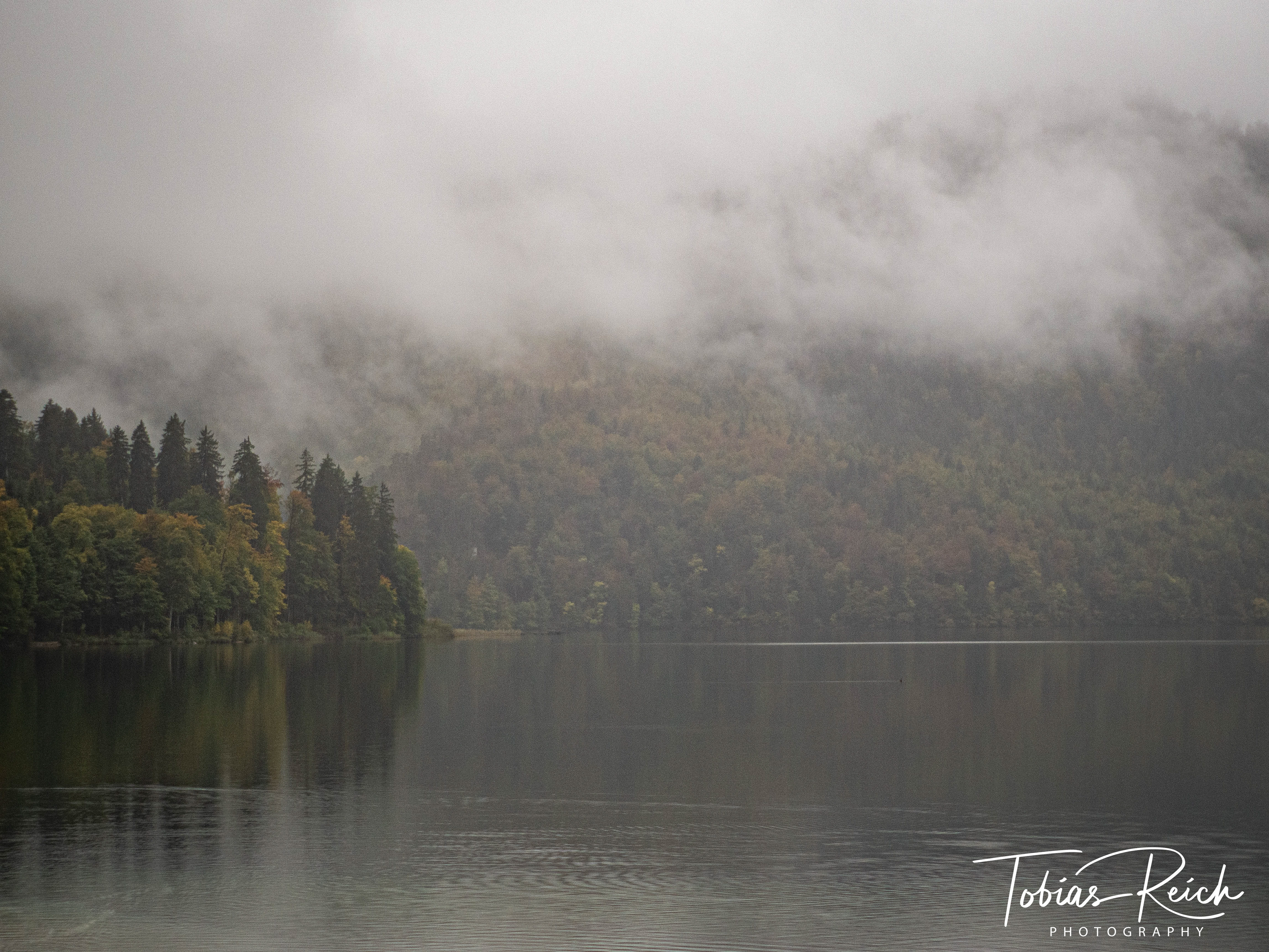 Misty Lake