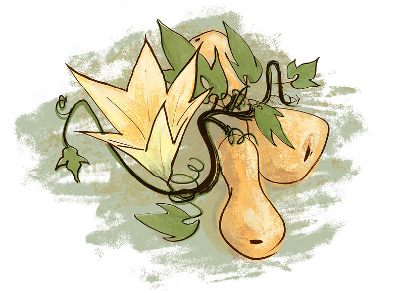 Just some squash