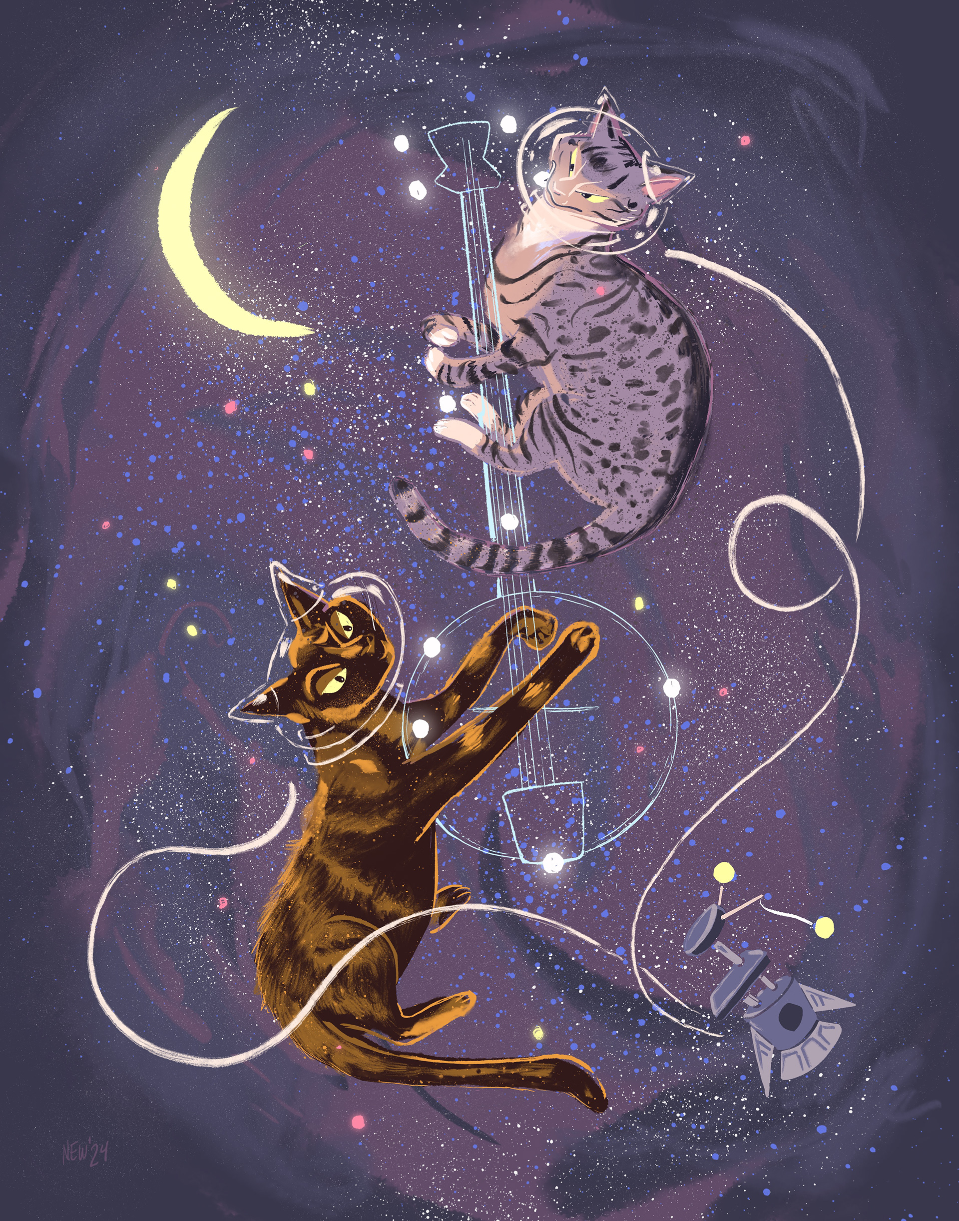 Banjo Space Cattos