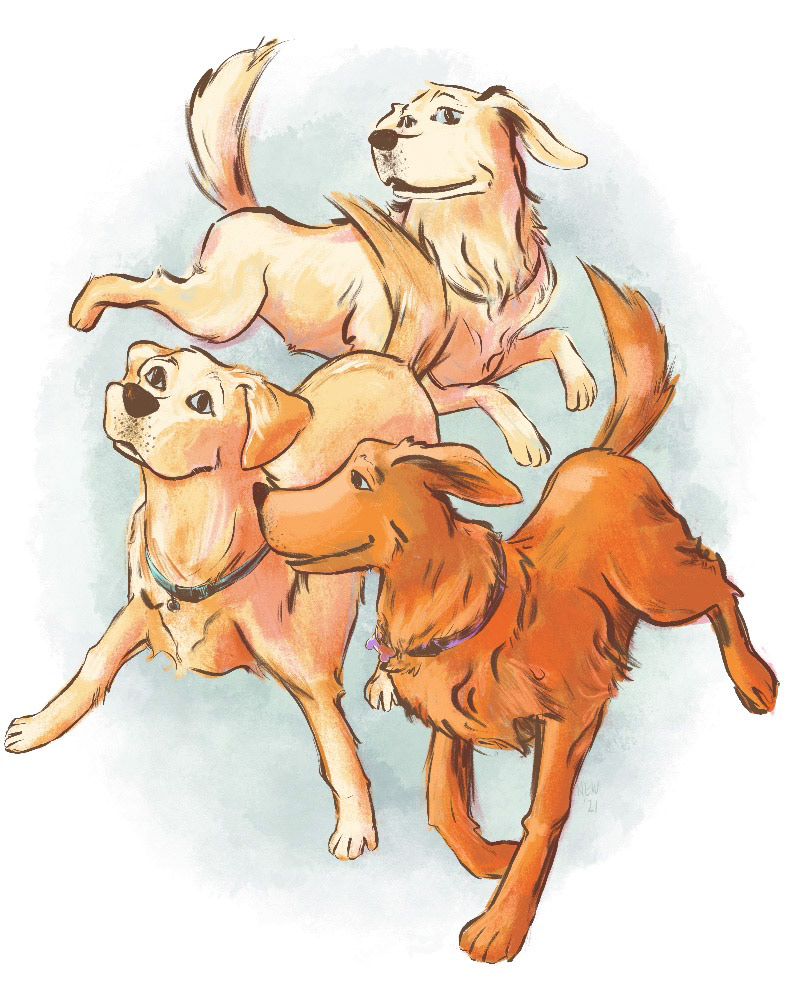 Three-dog Portrait