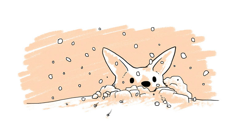 Corgi in Snow