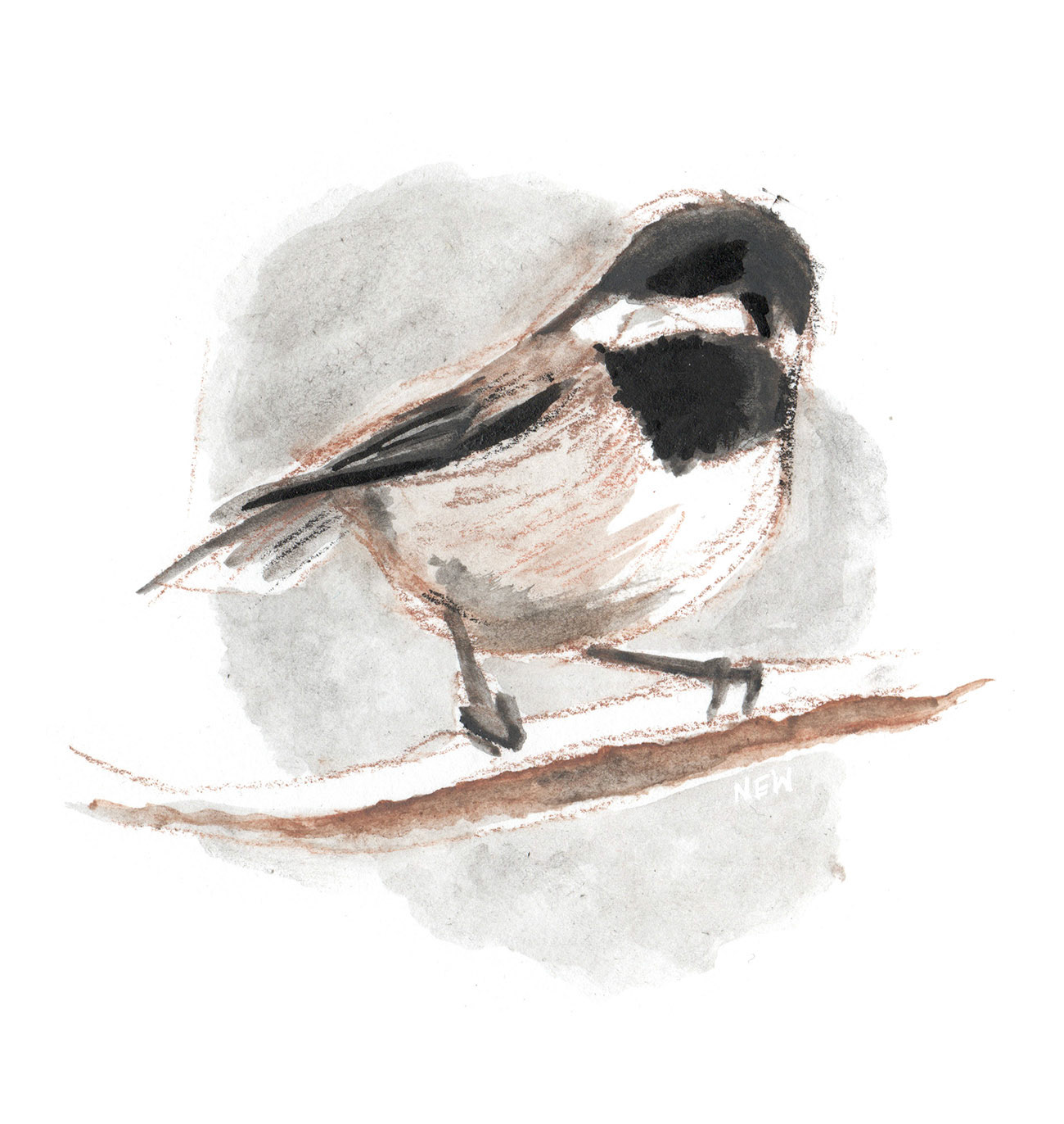 Chicadee drawing