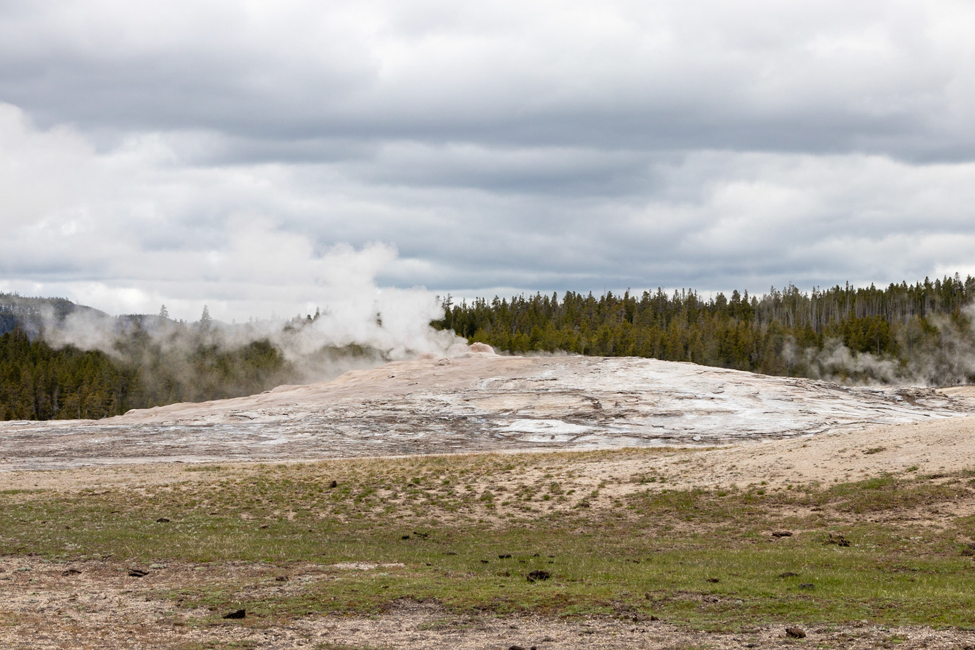 Old Faithful, being faithful and steamy