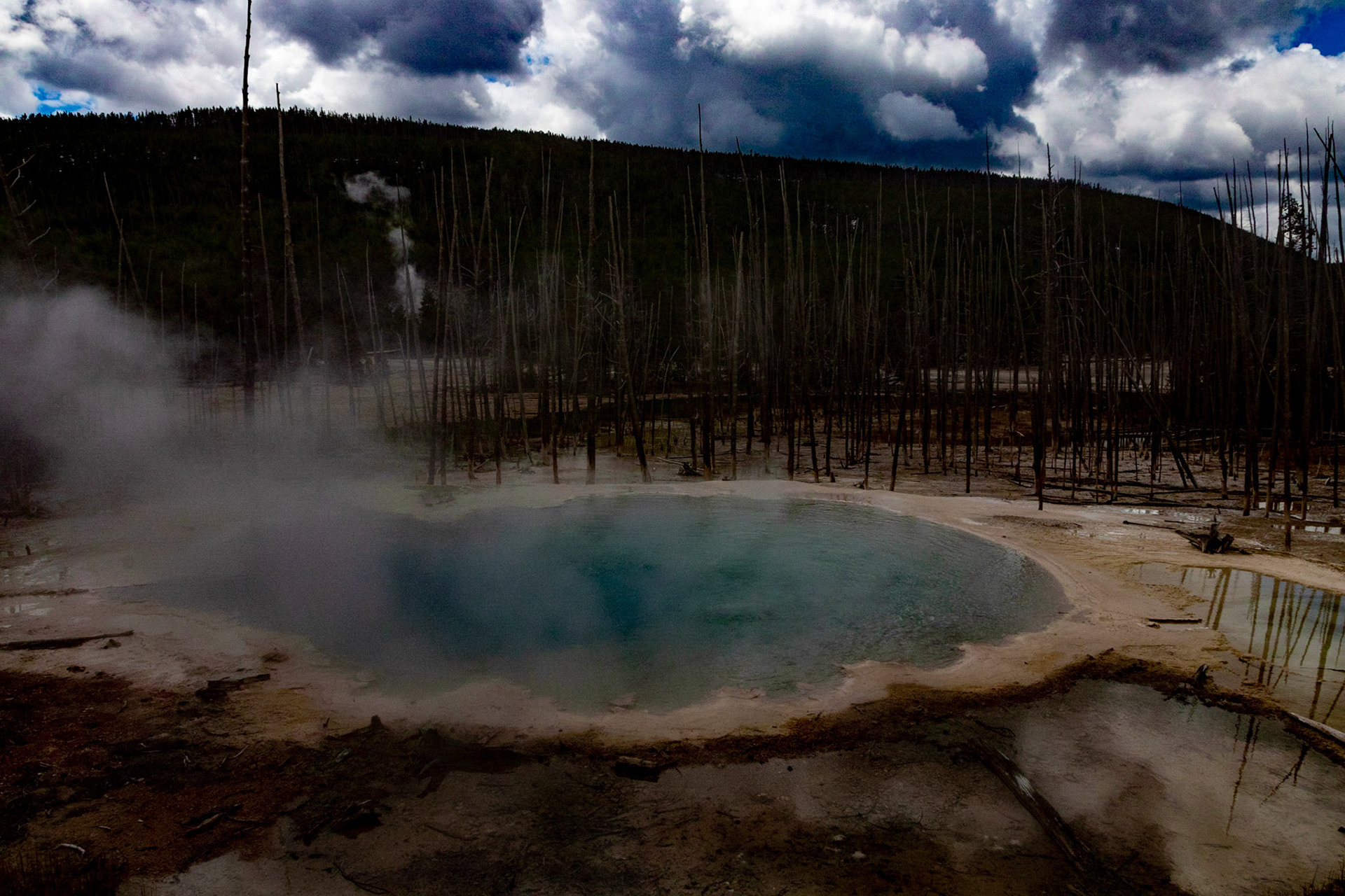 Cistern Spring is part of the water supply for Steamboat Geyser and will empty to refill the Steamboat Geyser's underground resvoir after an eruption.