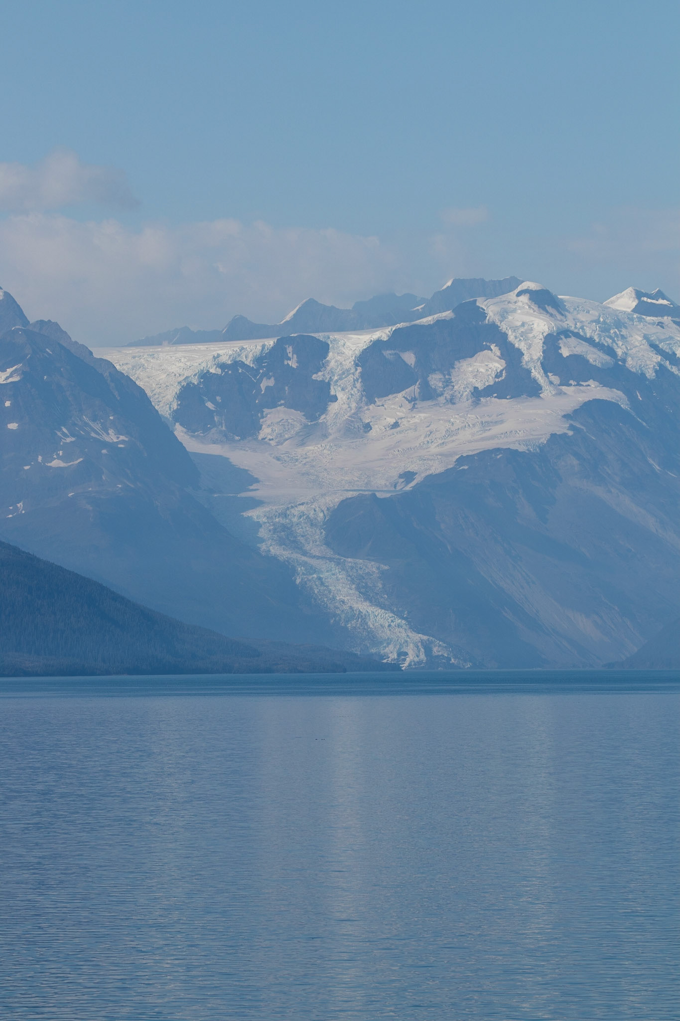 Views of various distant glaciers in College Fjord