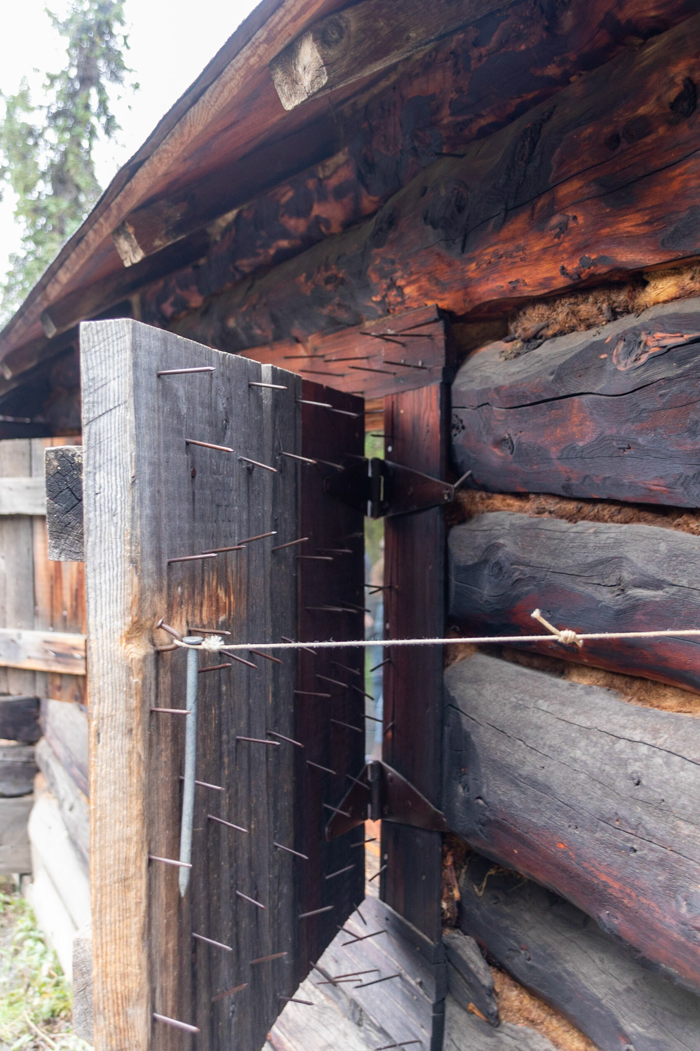Mechanical bear defense and repellent system around the windows
