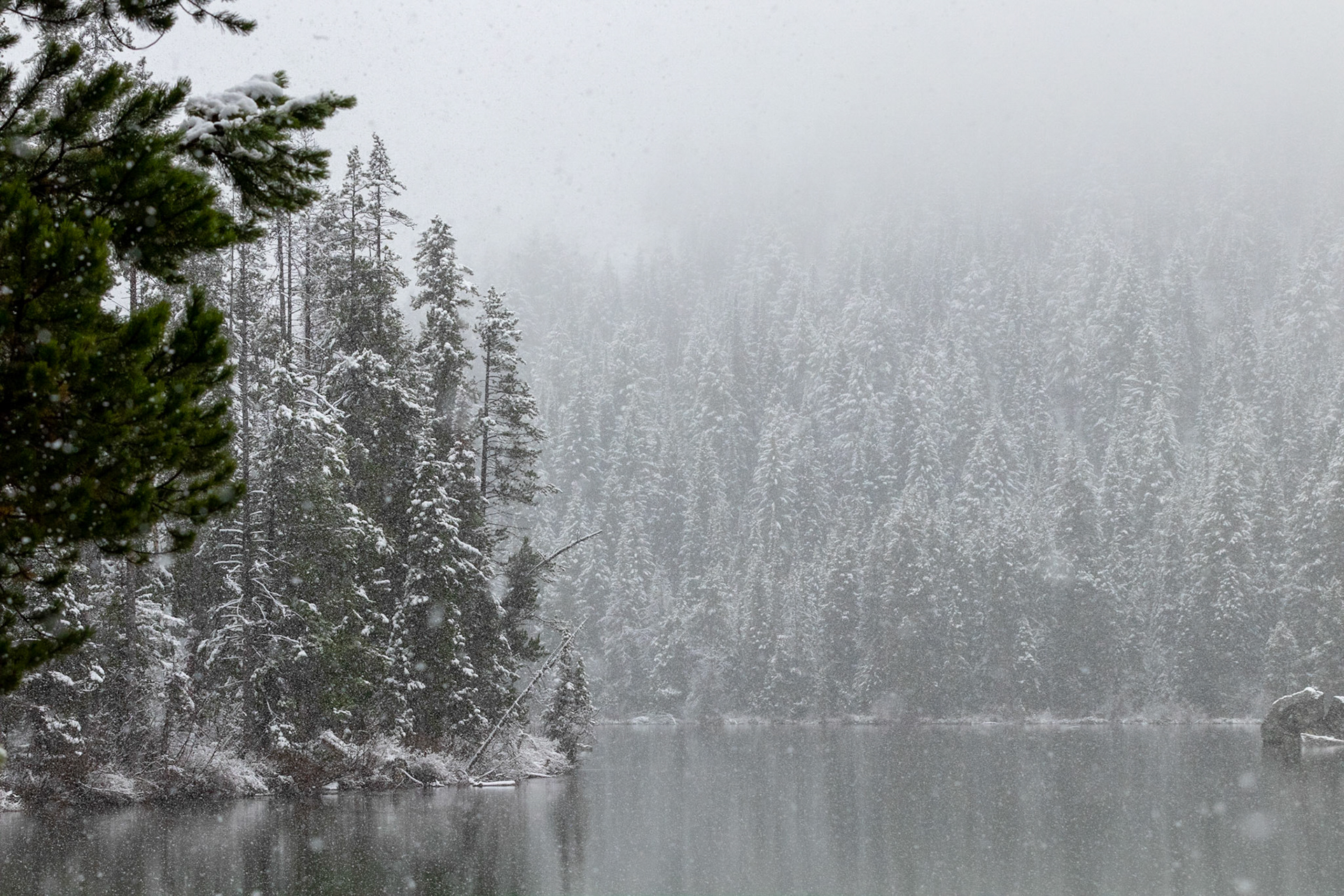 String lake, after a fruitless search for recently reported bear tracks