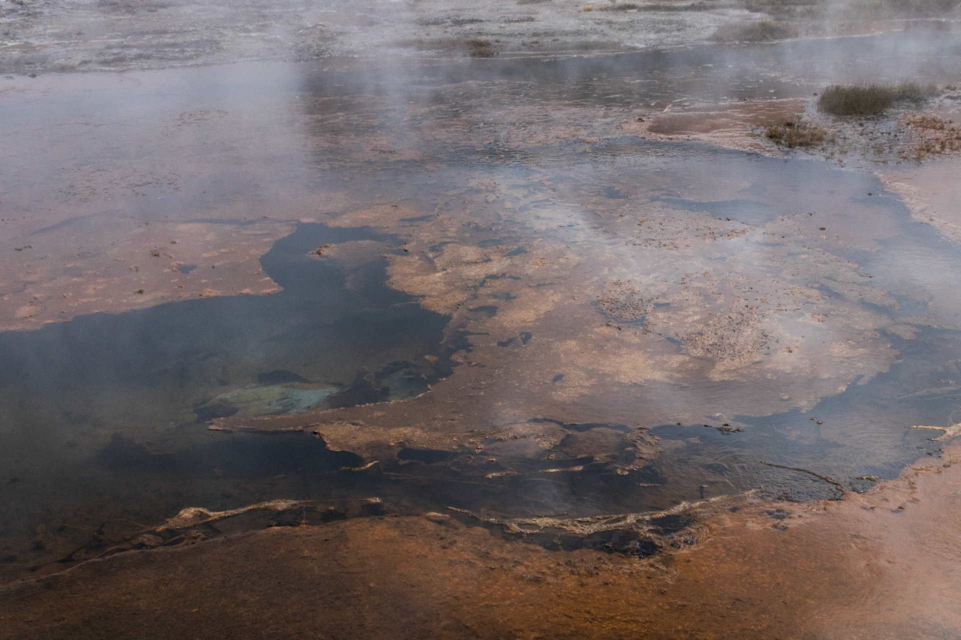 Mats of colorful bacteria form within the creek fed by the geysers and springs