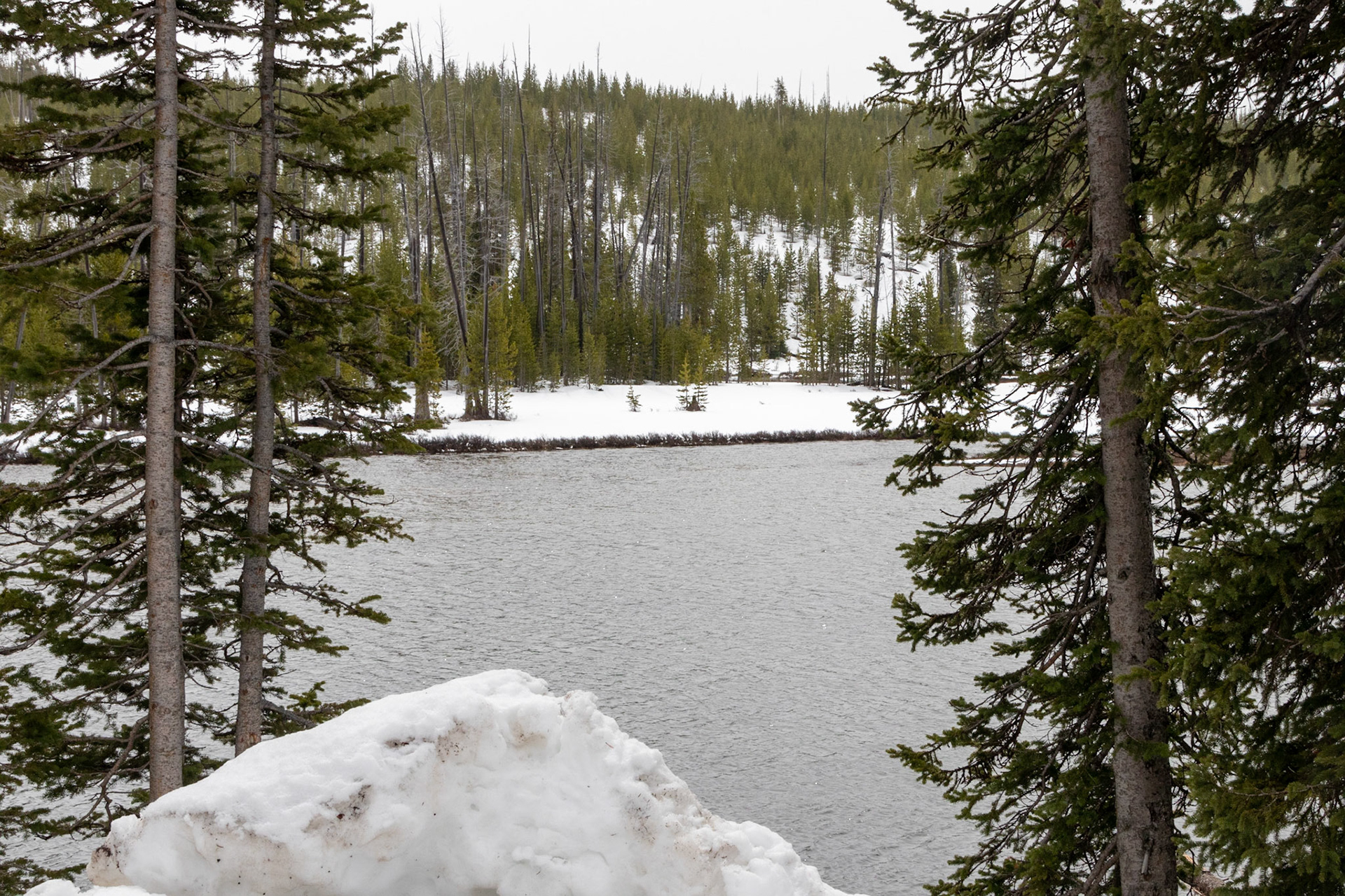 The Lewis river, a roadside picture on the way into Yellowstone from the South entrance.