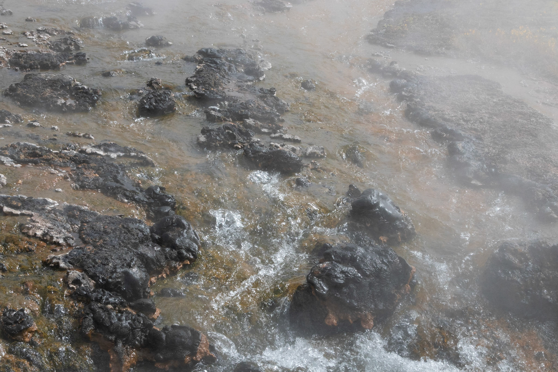 Tangled Creek flowing into hot lake