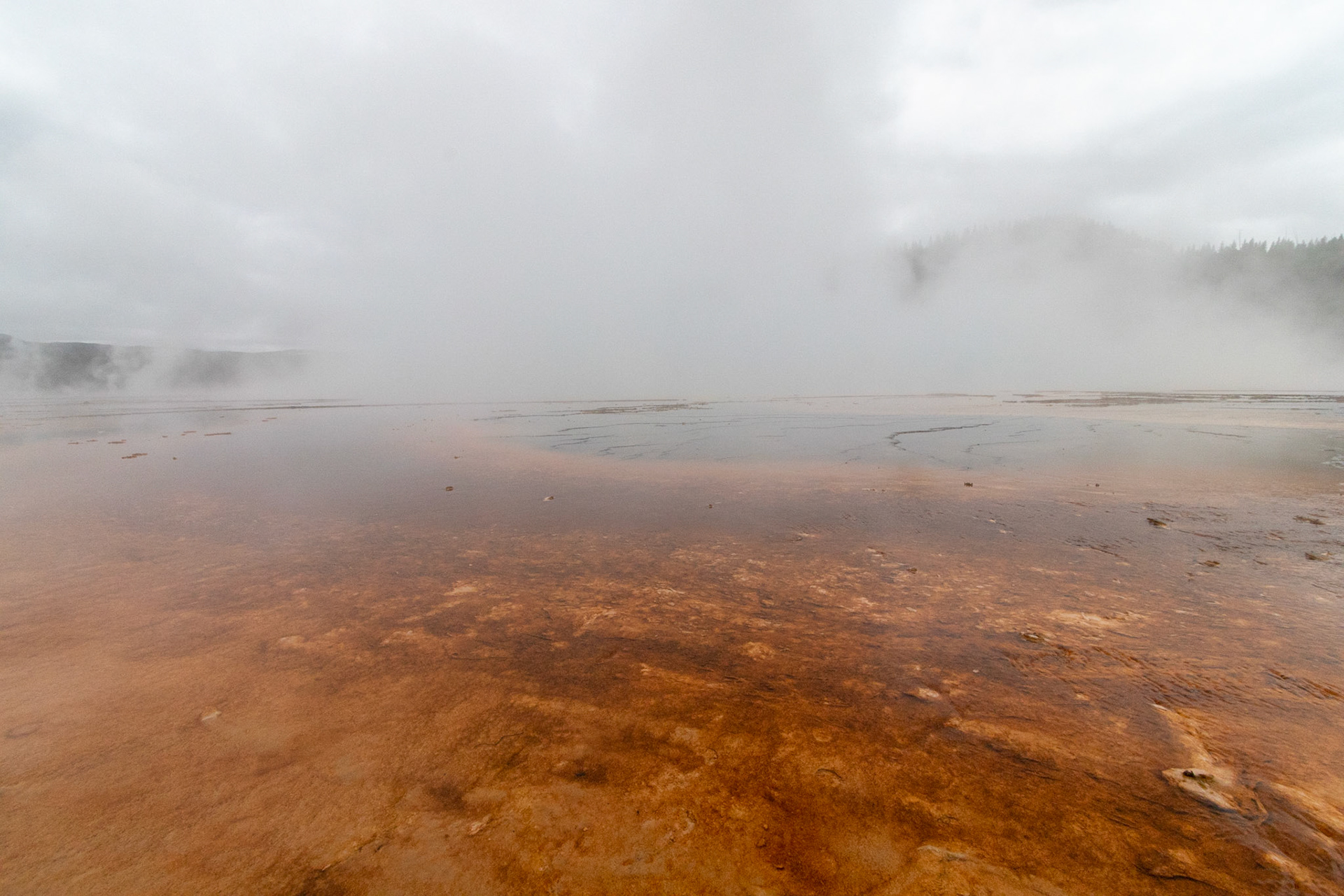 The Grand Prismatic spring's amazing colors are difficult to see through the steam from ground level.
