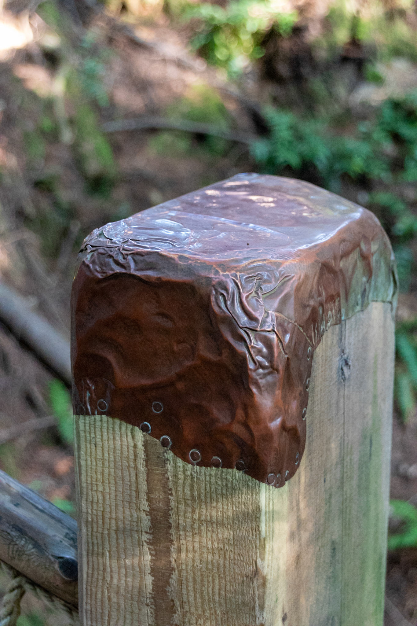 Interesting metal work used to cap the top of wood used in the Cappilano park area.