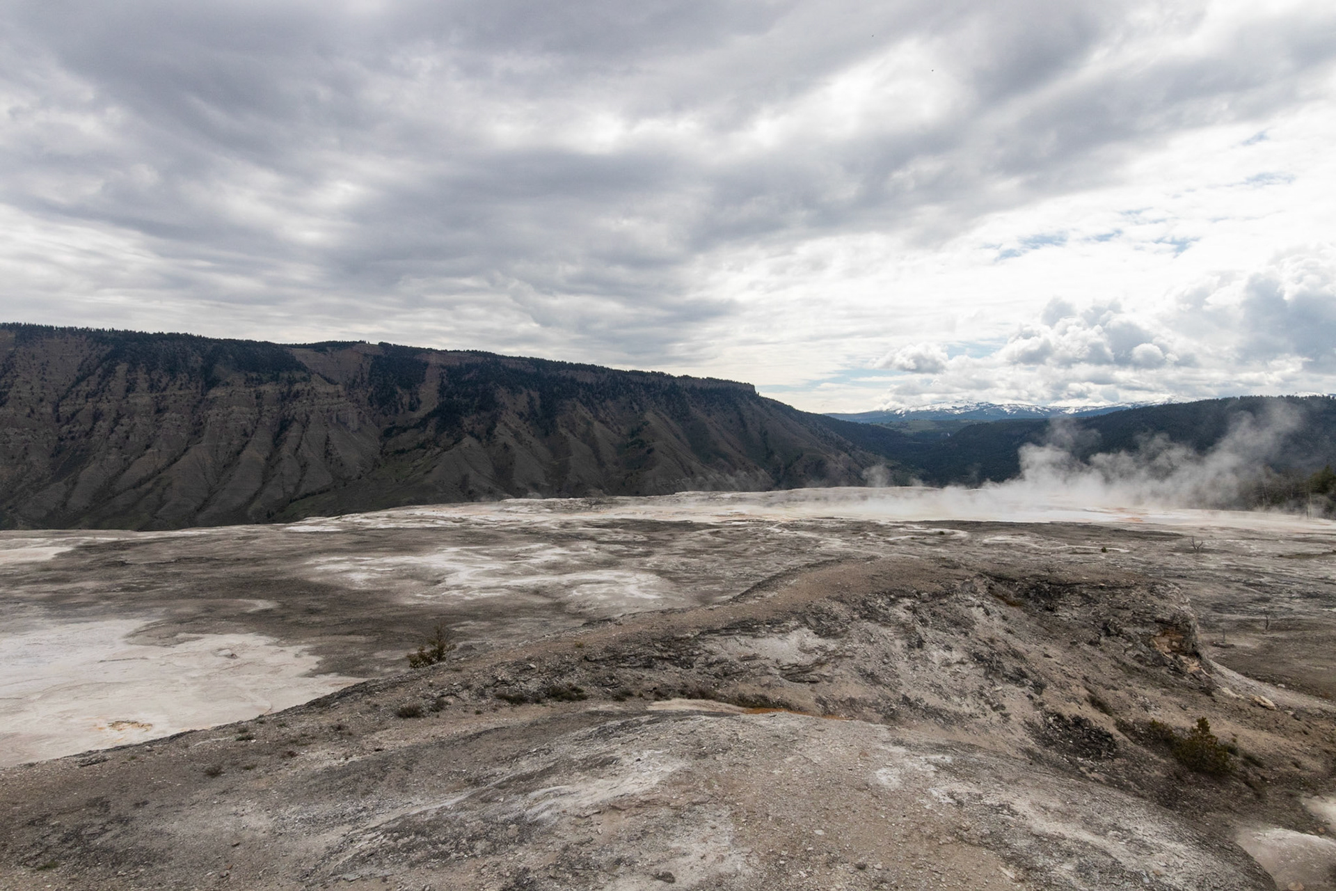 Mammoth Hot Springs
