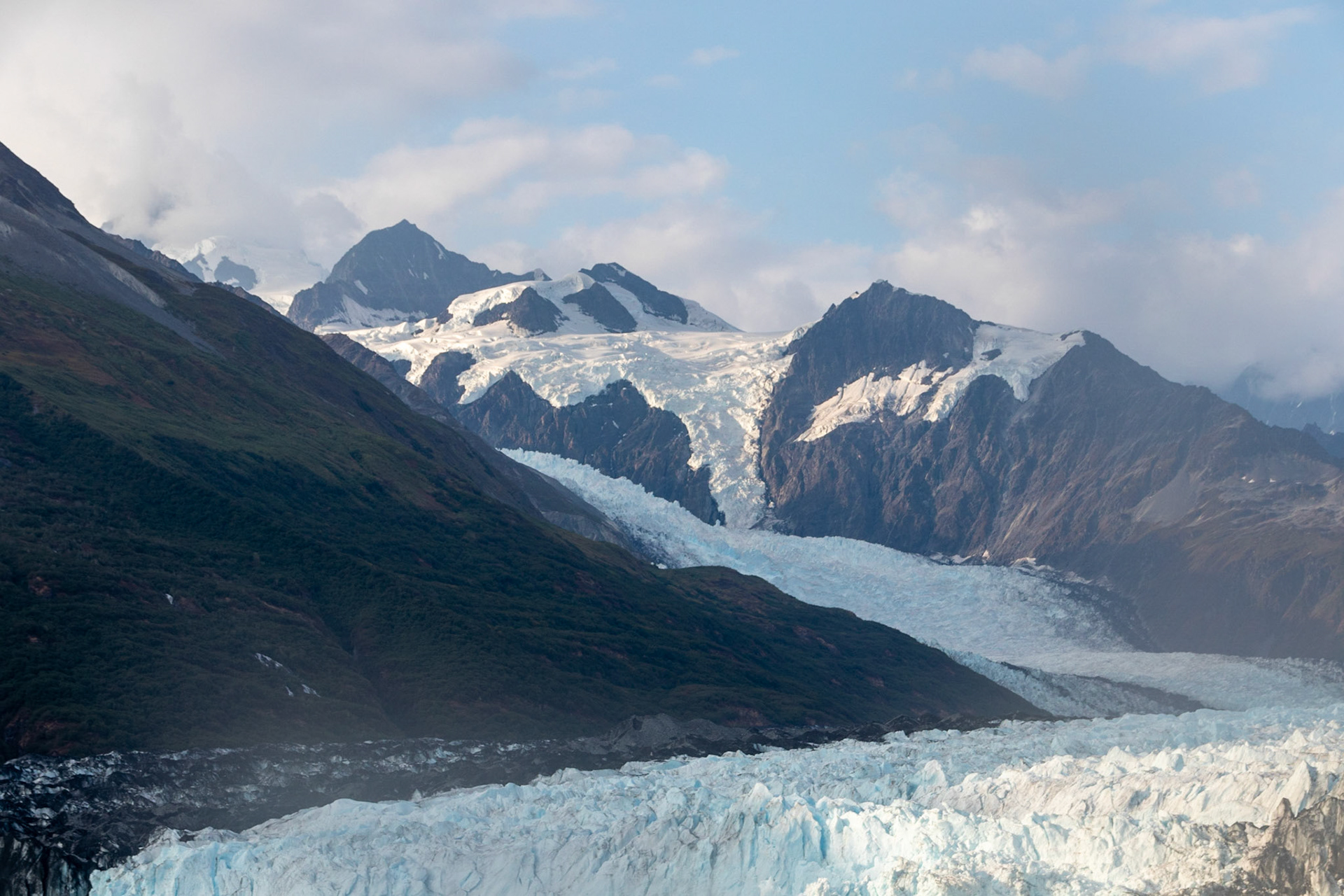 The Harvard glacier is the second largest glacier in College Fjord, occupying approximately 120,000 acres. Here you can see it disappearing off into the distance.