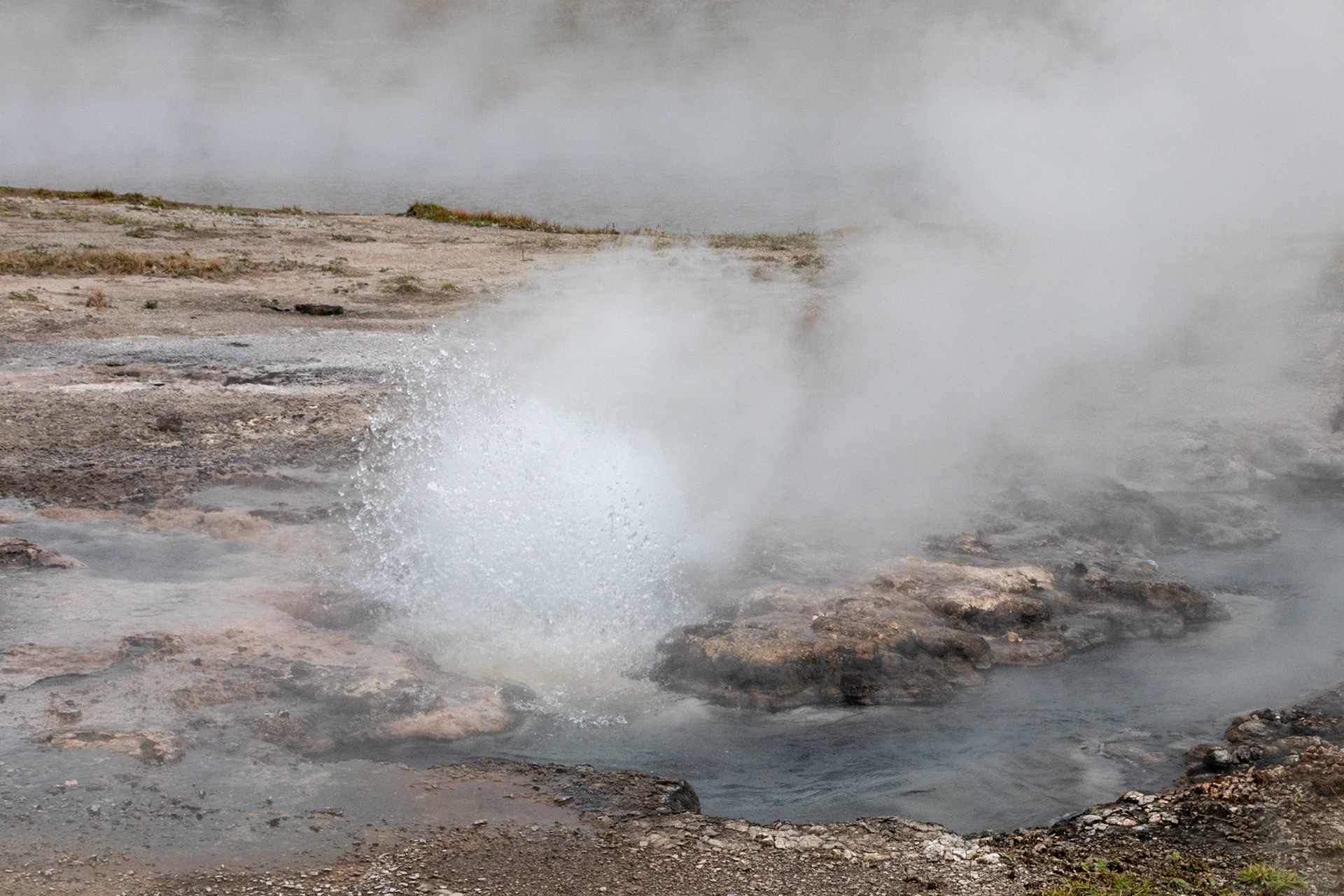 Artesia Geyser (or maybe Hopeful Geyser). Either way, I'm hopeful I'm right