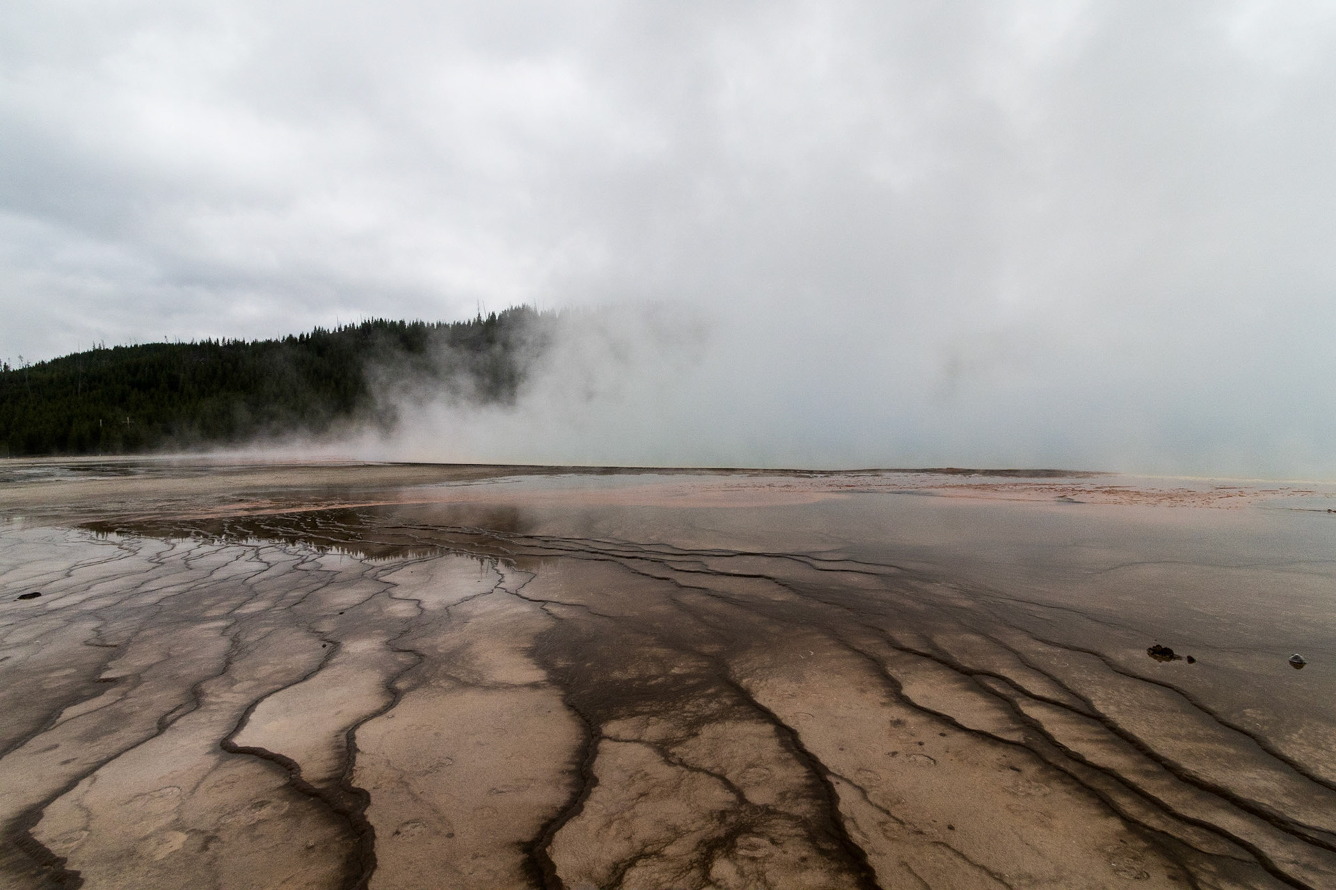 The Grand Prismatic Spring remains shrouded in steam