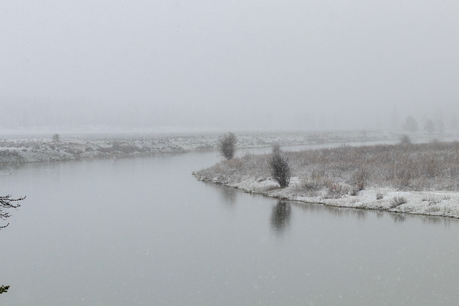 Overlooking oxbow bend