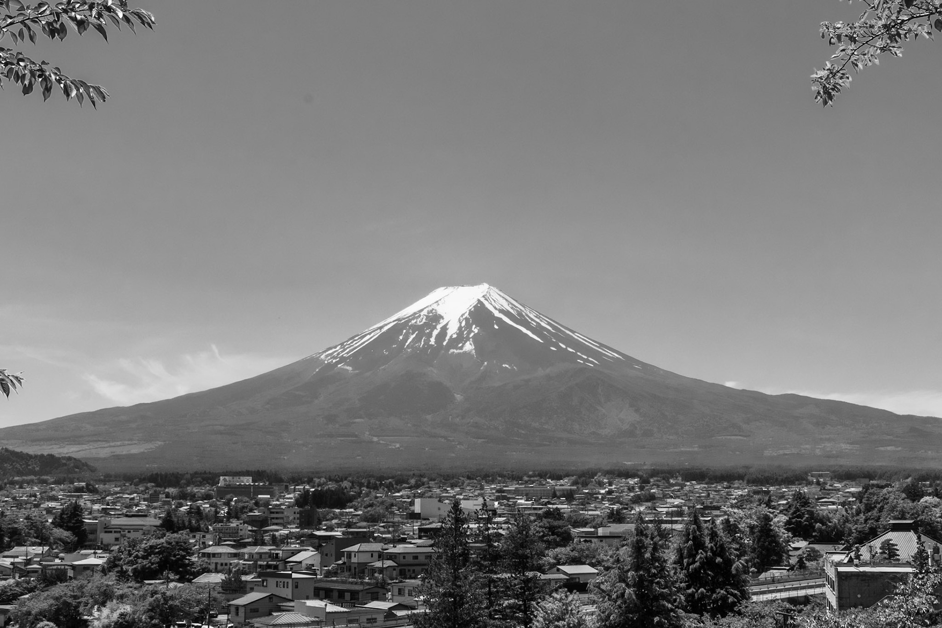 Mt. Fuji