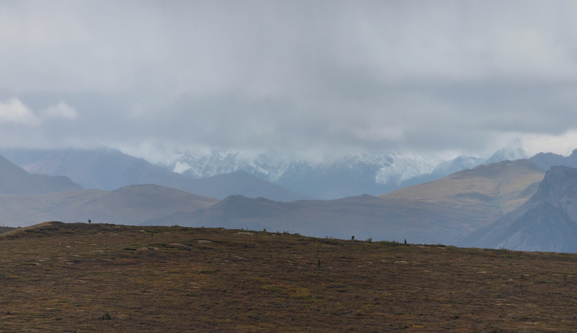 View of Denali National Park