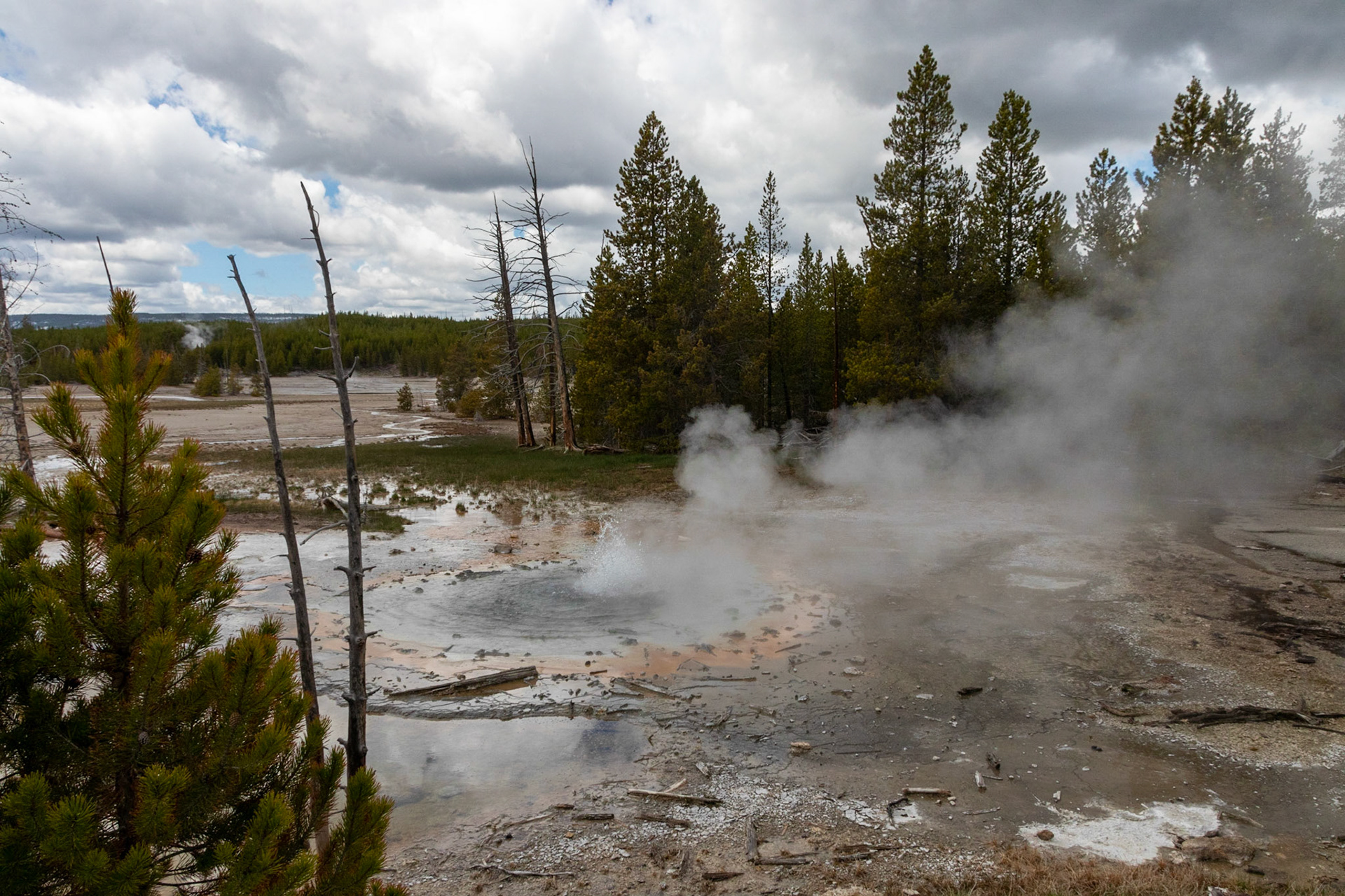 Minute Geyser