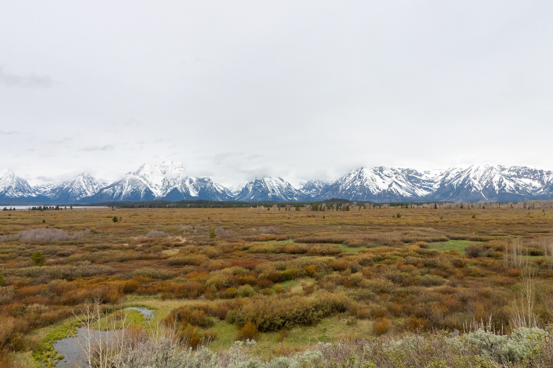 The snow-capped Grand Tetons as seen from the observation deck at the Jackson Lake Lodge.
