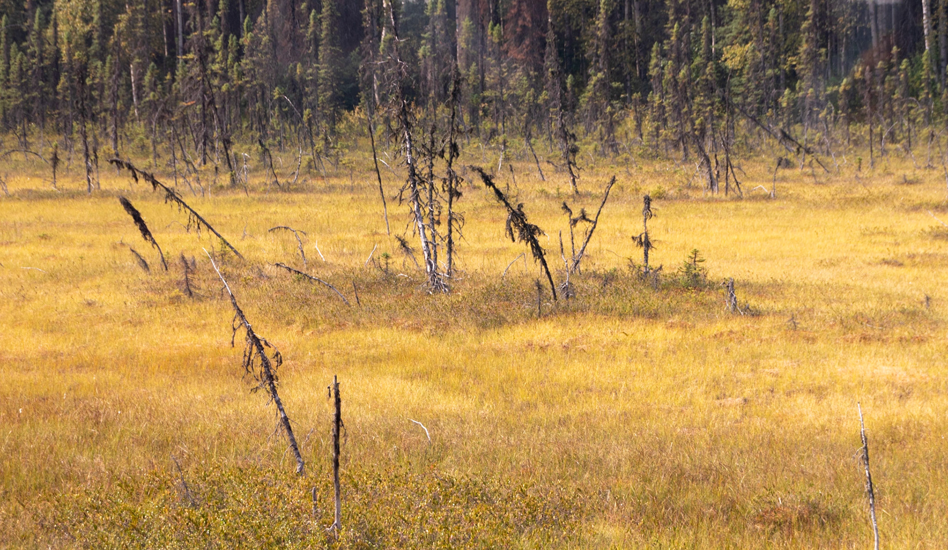 Aftermath of the fire that was currently ongoing in the McKinley area.