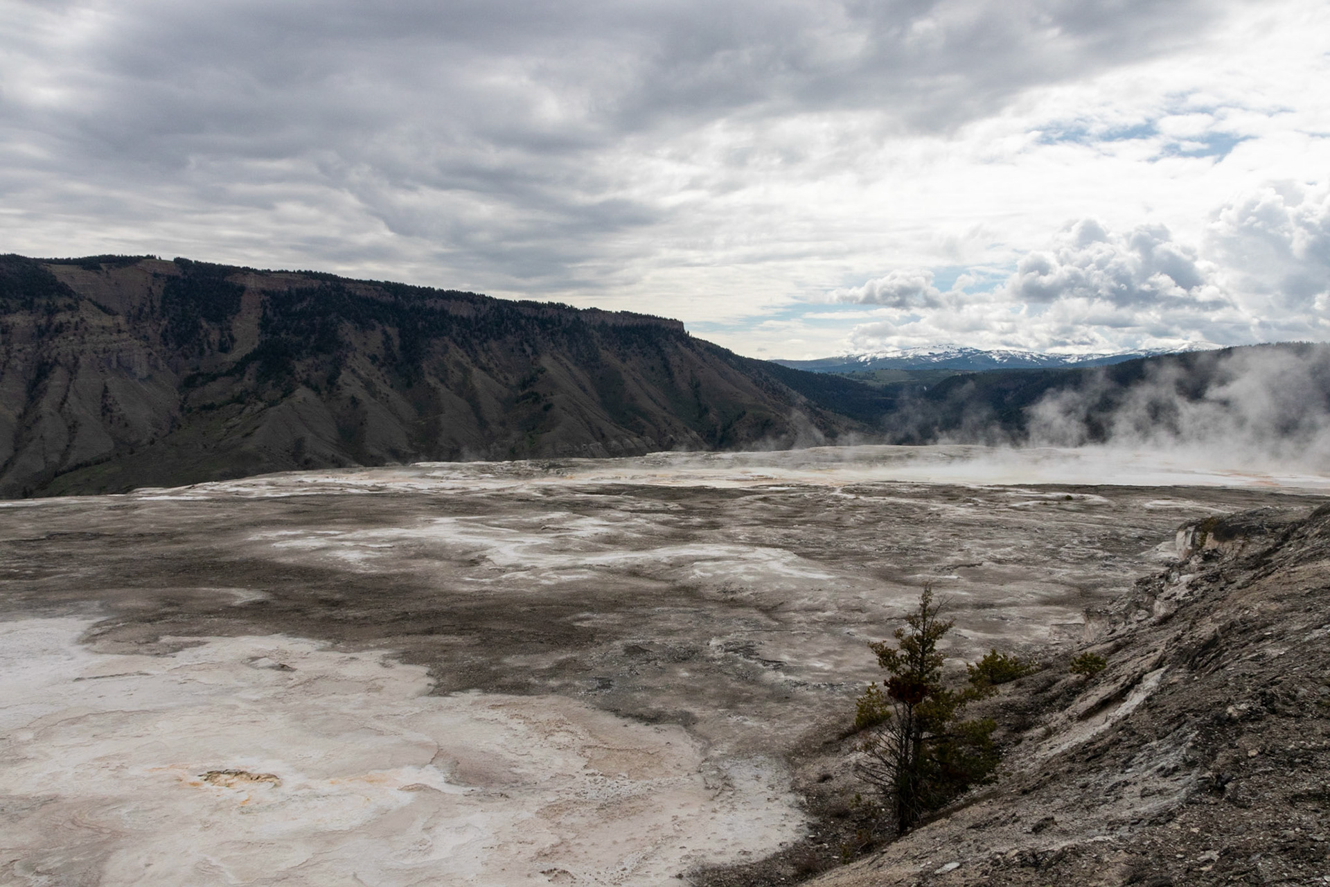 Mammoth Hot Springs main terrace from the overlook