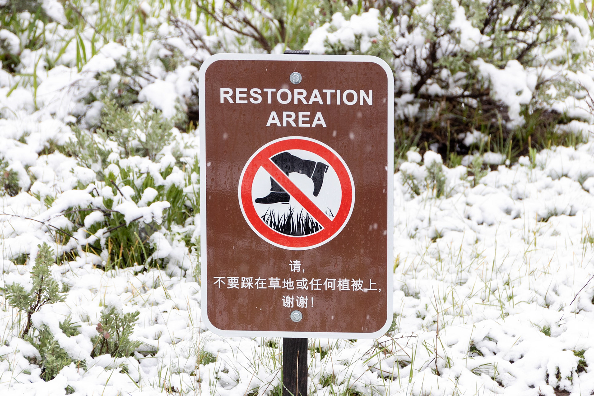 Sign seen at the Transfiguration Chapel, no levitating over the grass!