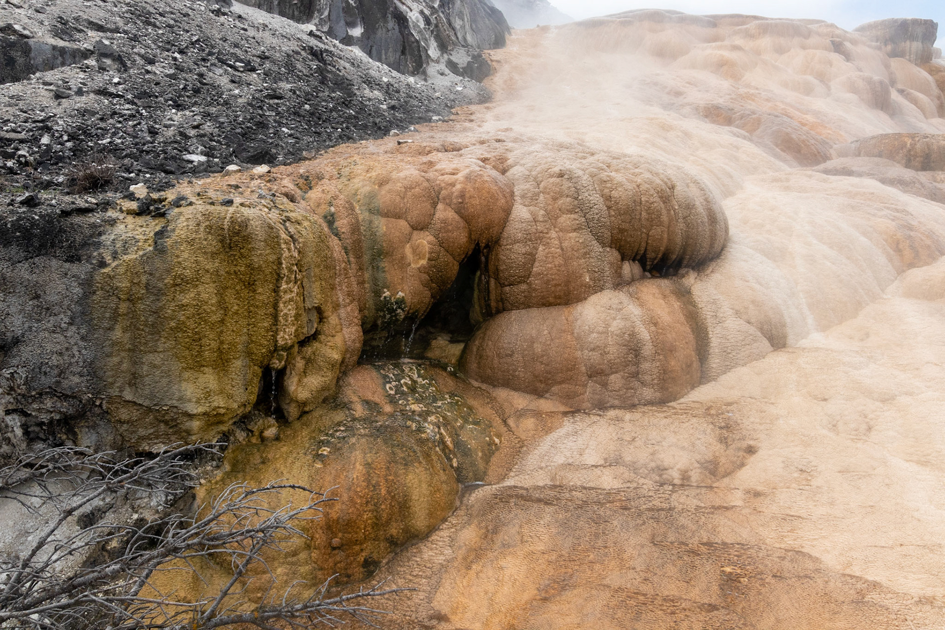 Mammoth Hot Springs Mound Spring