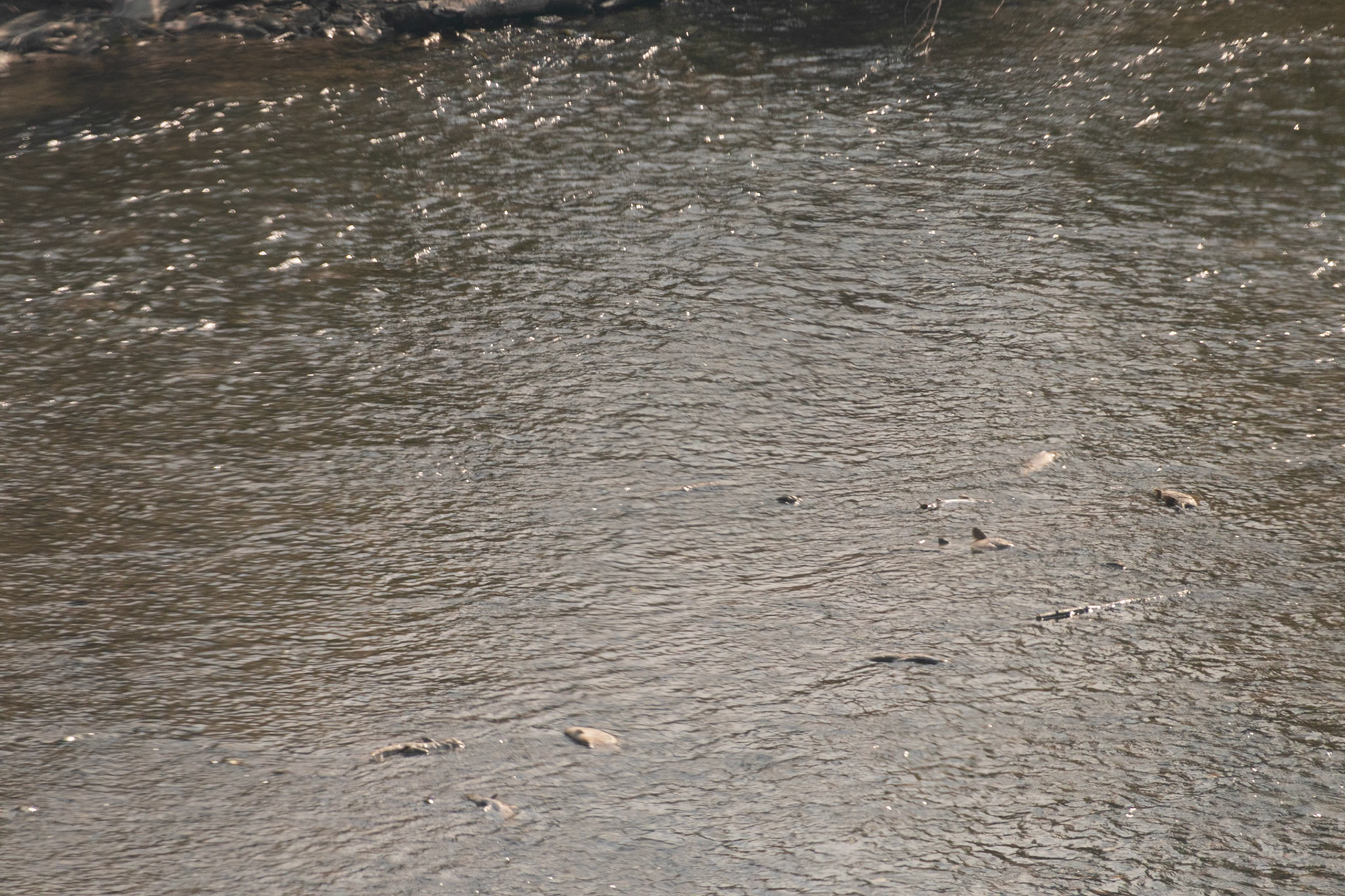 Aftermath of the fire that was currently ongoing in the McKinley area.