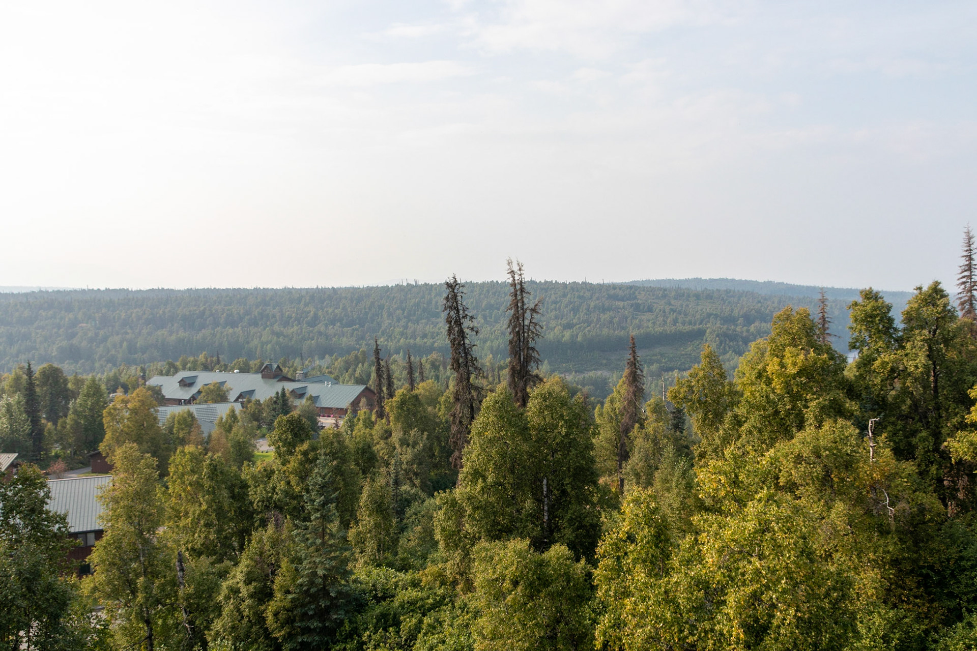 A view of the McKinley princess lodge looking towards Denali (not visible) from the "treehouse"
