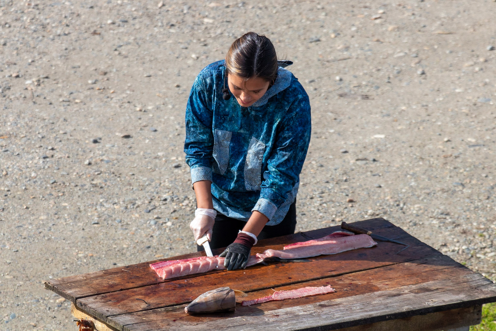 The process of scoring salmon at a traditional Chena fishcamp  in preparation of salmon for their dogs