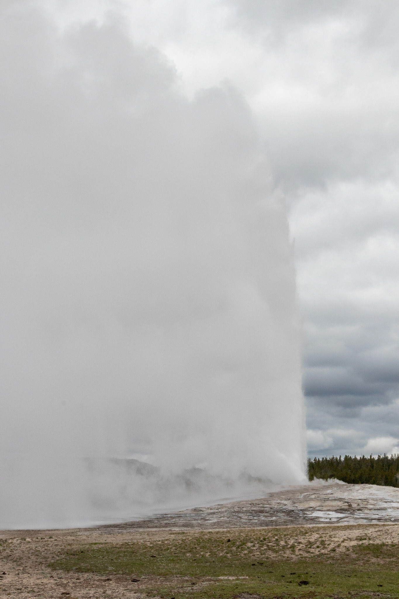 Old Faithful erupts on schedule