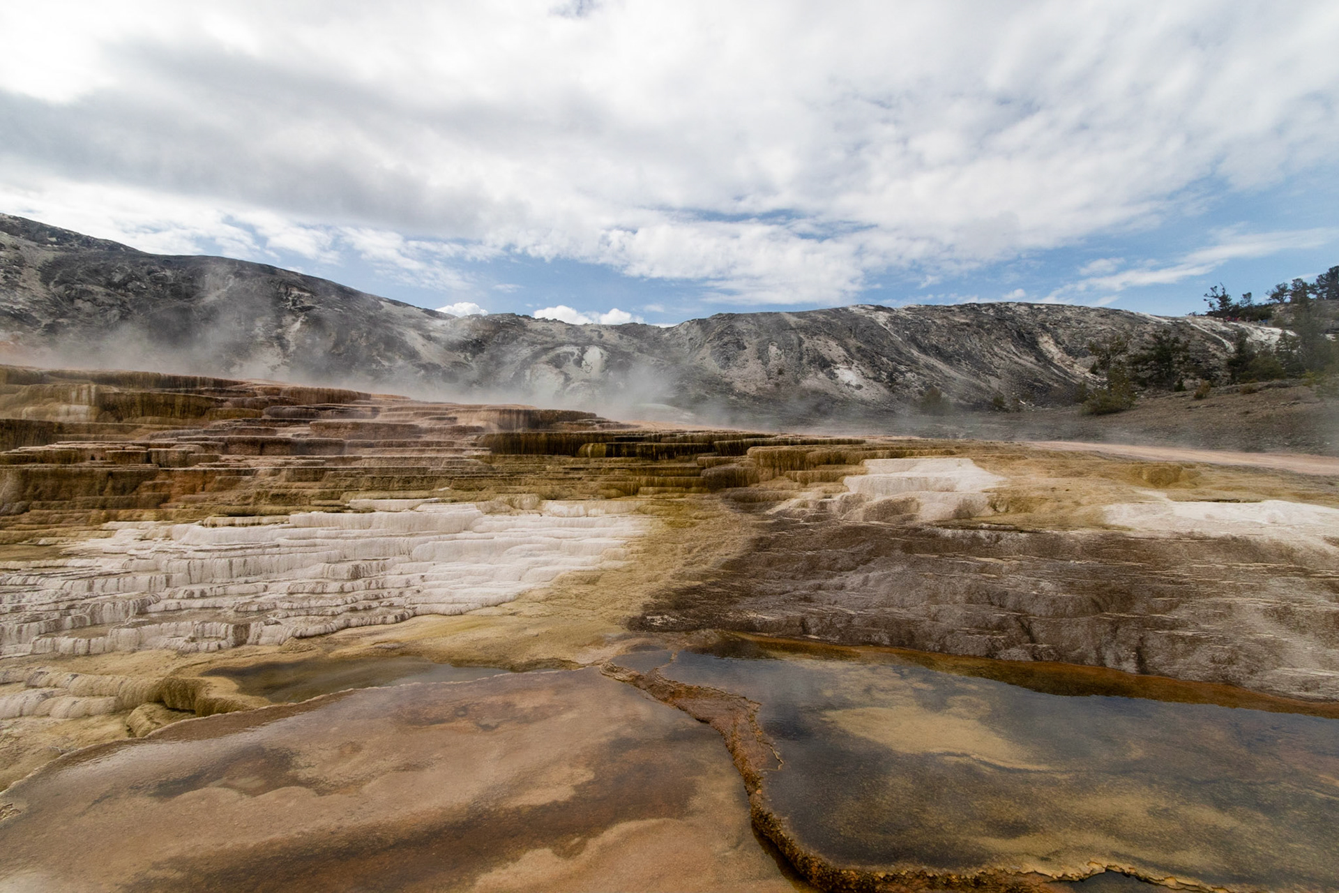Mammoth Hot Springs Jupiter Terrace