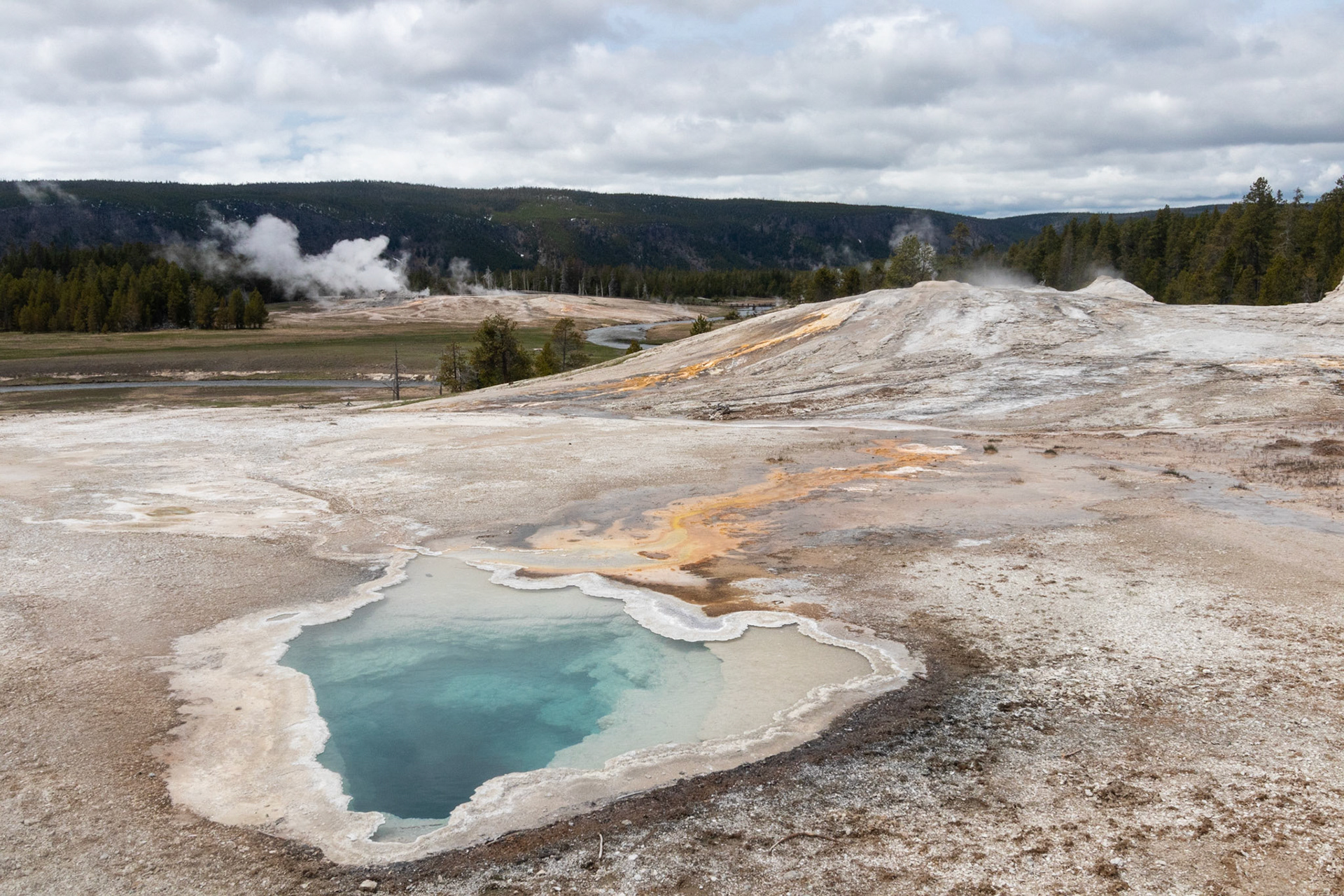 Upper Geyser Basin