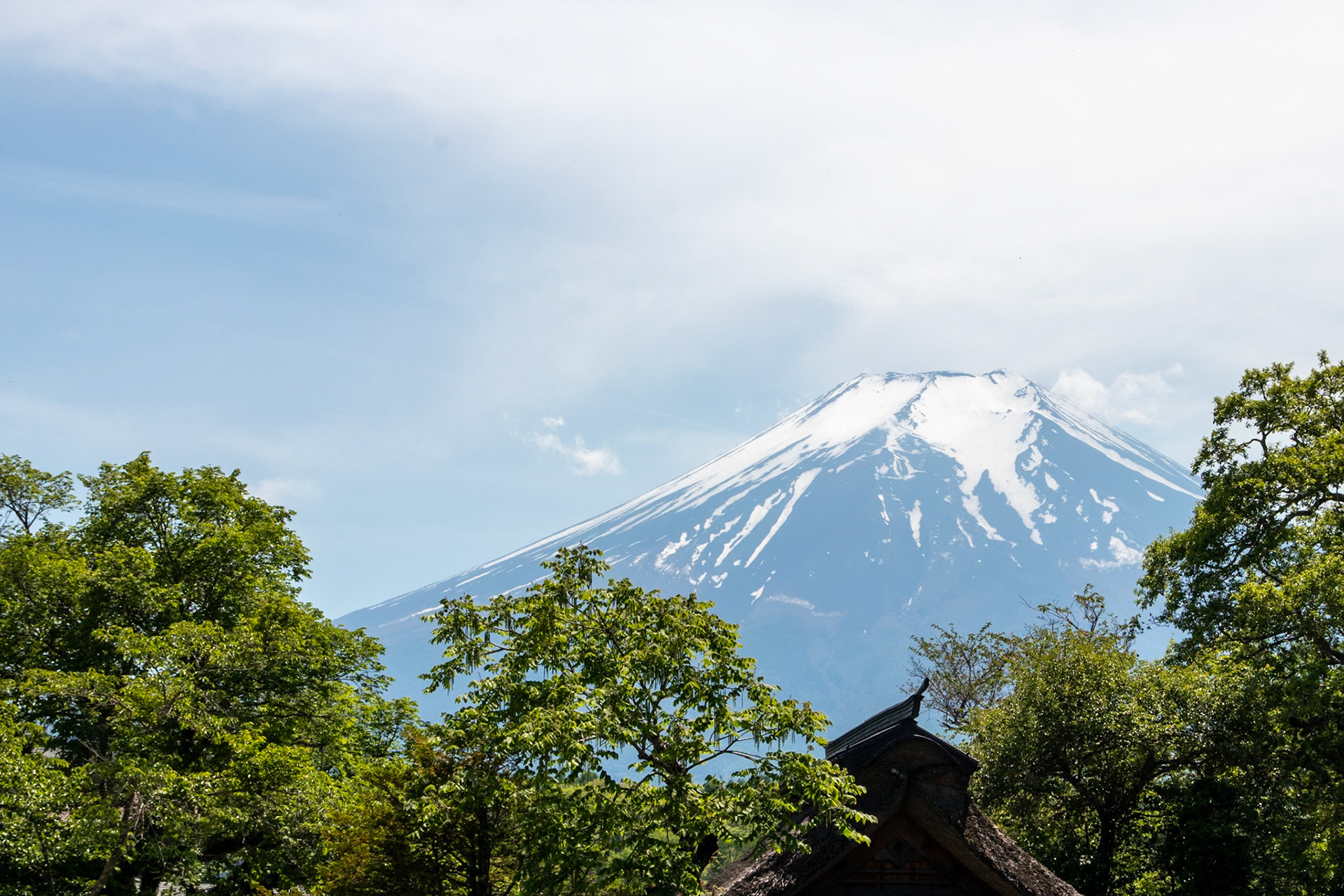 Mt Fuji