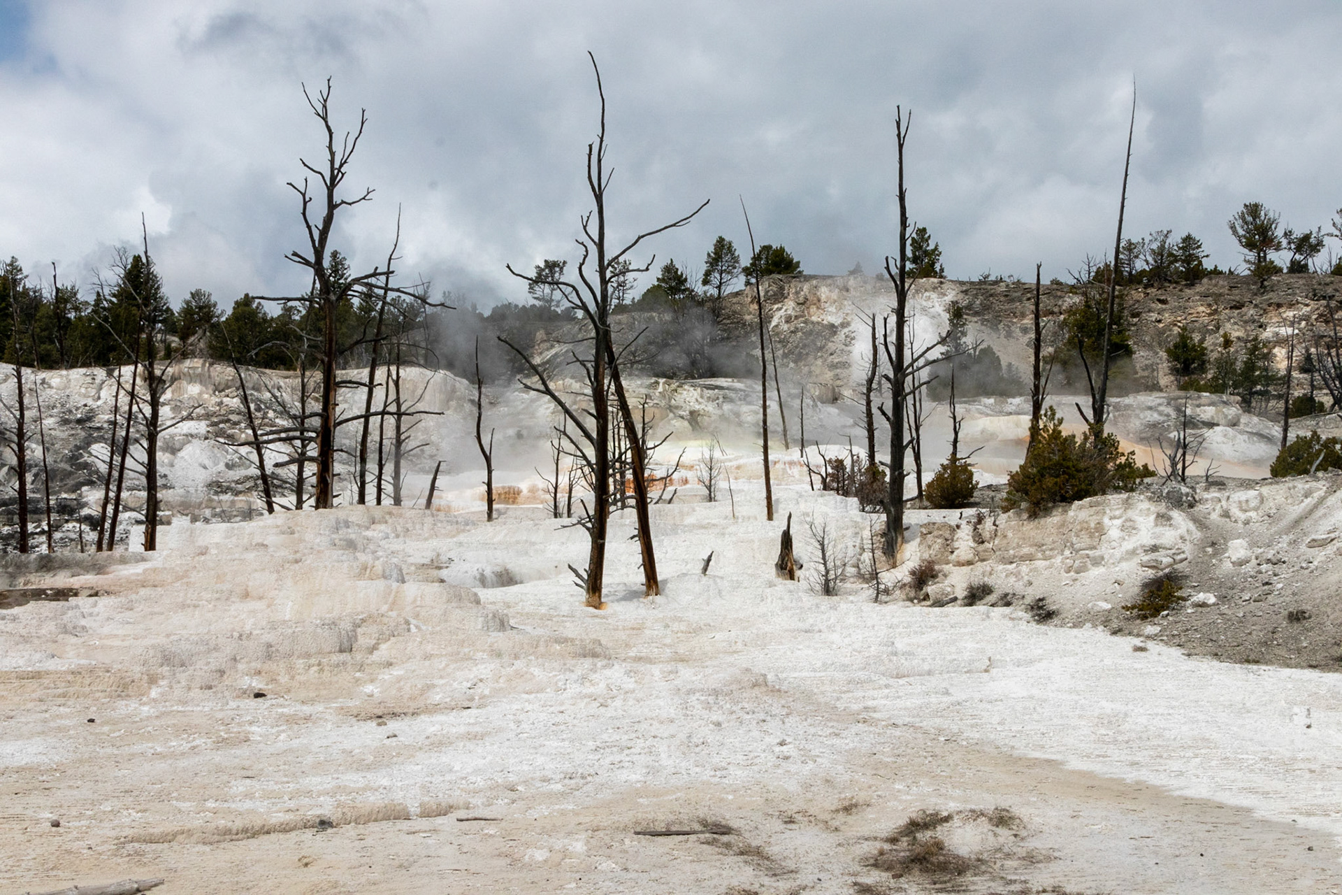 Mammoth Hot Springs Highland Spring