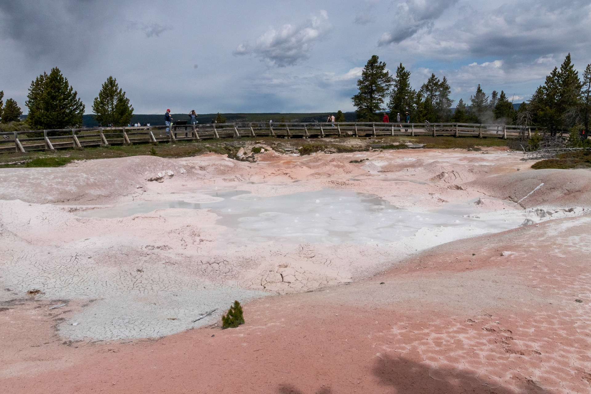 This mud spring dries up as the summer progresses
