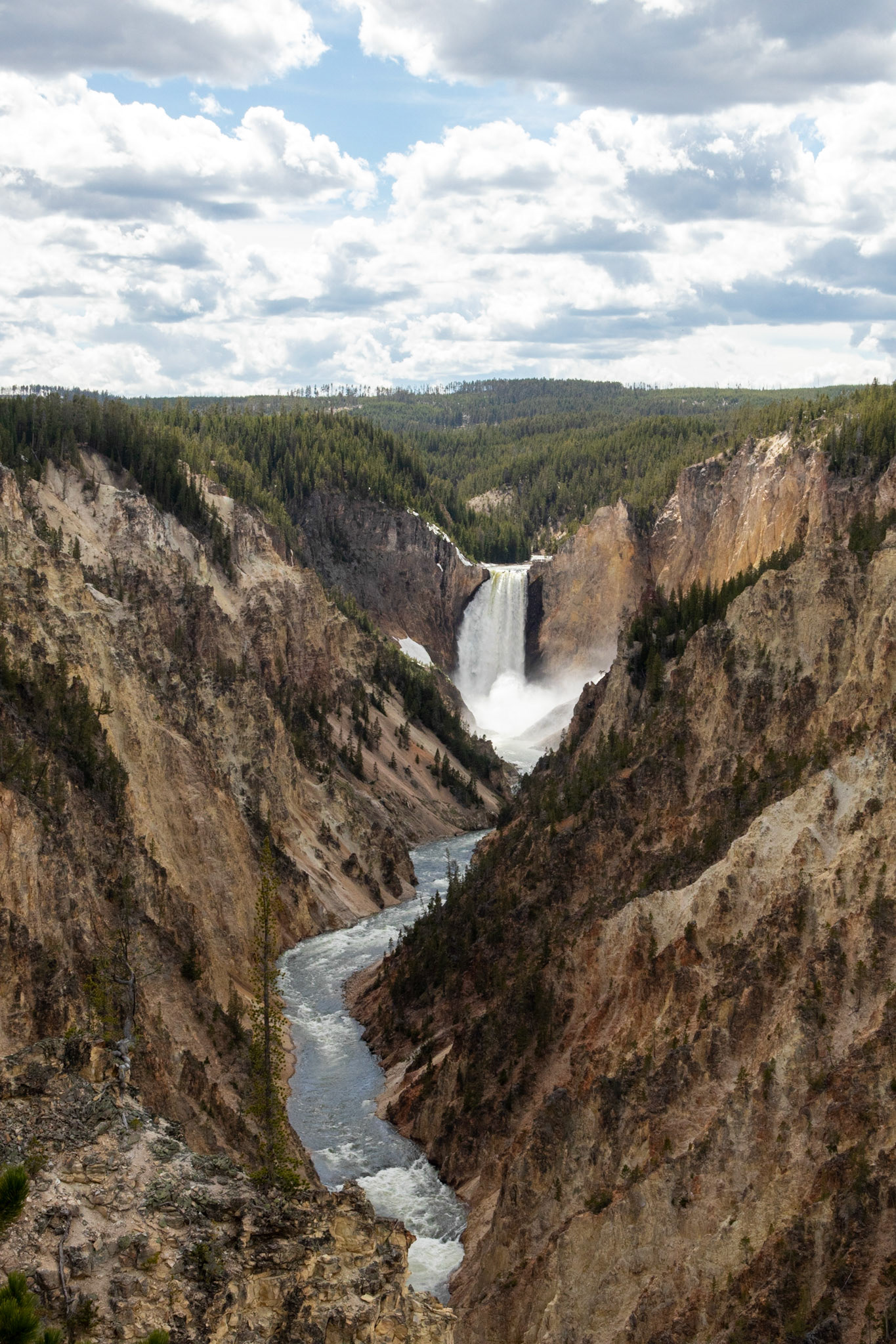 The Lower falls at the Grand Canyon of Yellowstone