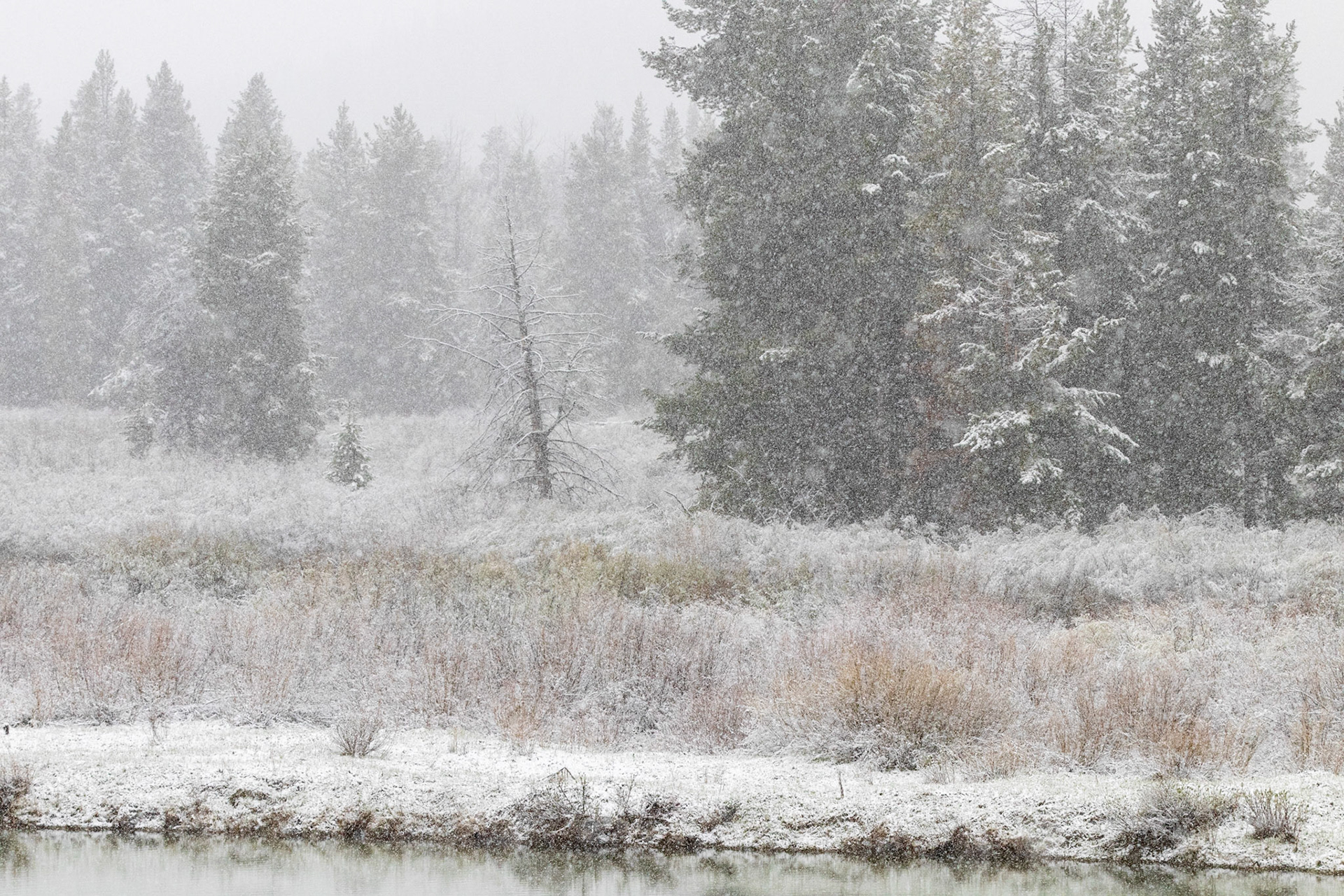 Oxbow Bend