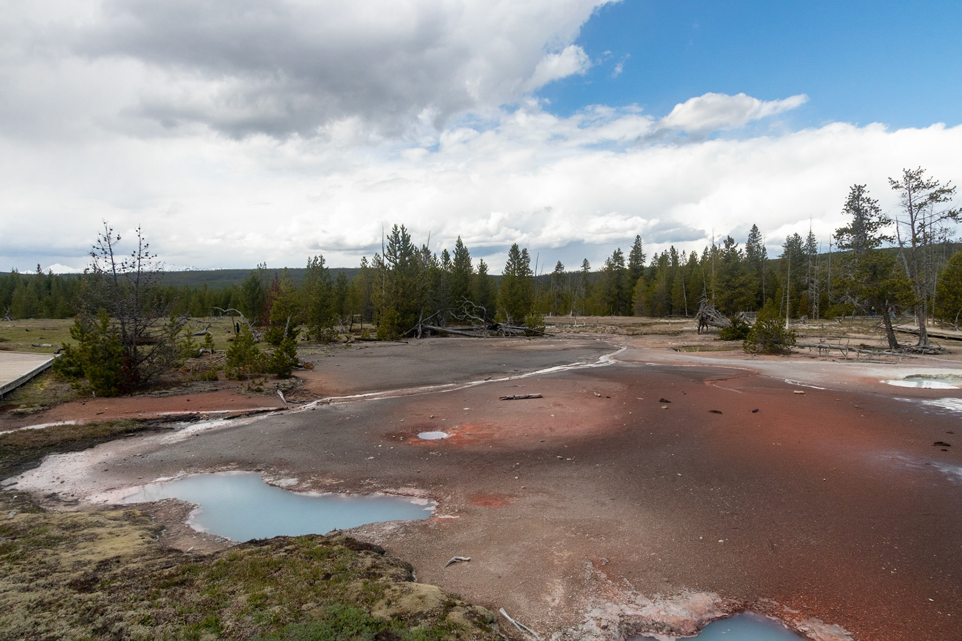 Artist Paintpots